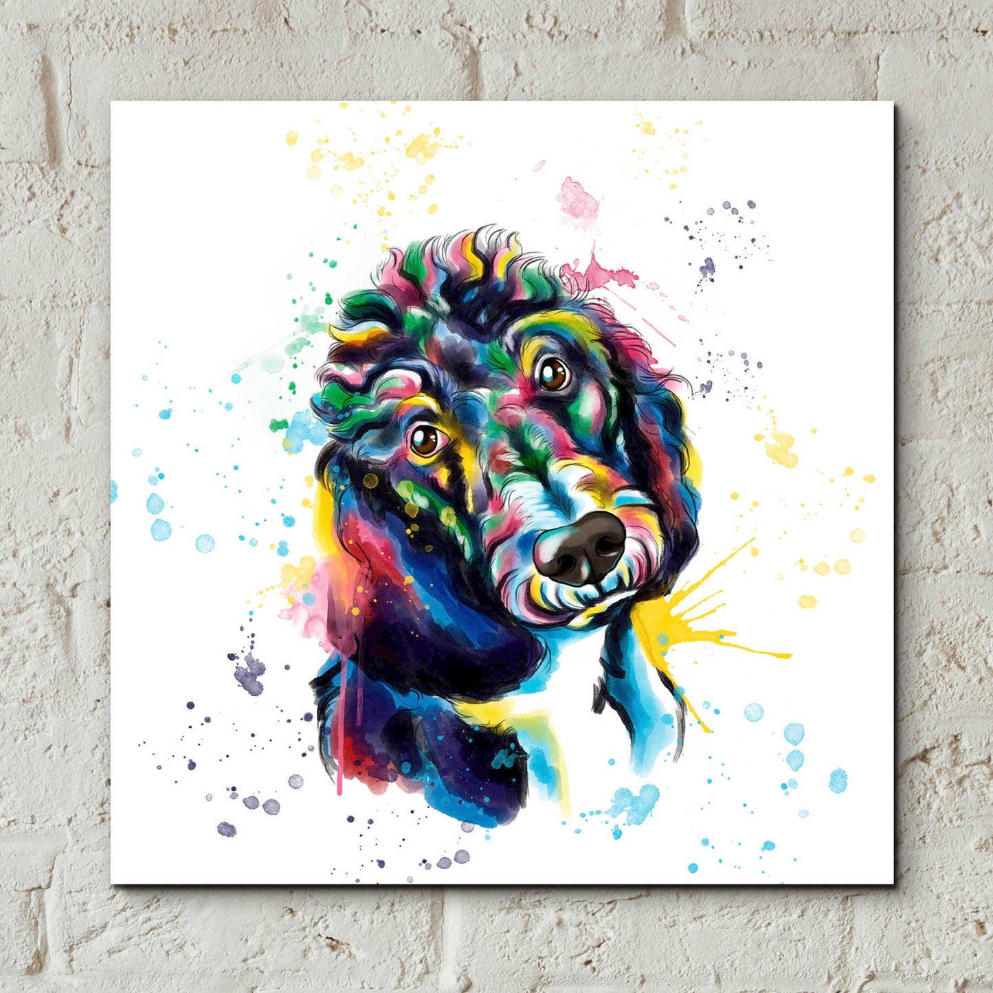 Epic Art 'Colorful Watercolor Poodle 2' by Furbaby Affiliates, Acrylic Glass Wall Art,12x12