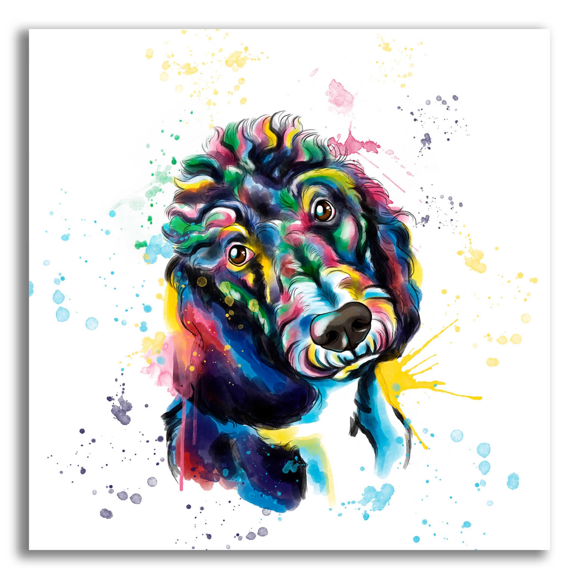 Epic Art 'Colorful Watercolor Poodle 2' by Furbaby Affiliates, Acrylic Glass Wall Art,12x12