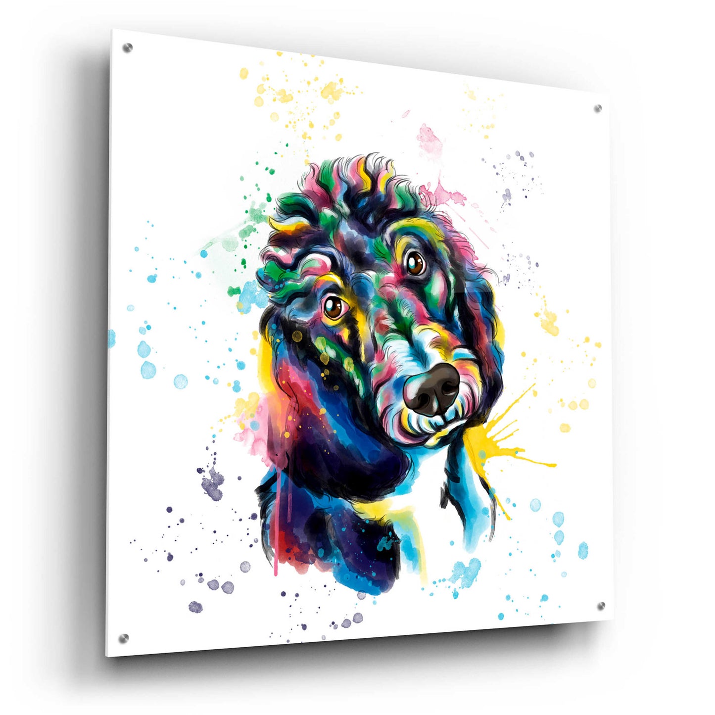 Epic Art 'Colorful Watercolor Poodle 2' by Furbaby Affiliates, Acrylic Glass Wall Art,36x36