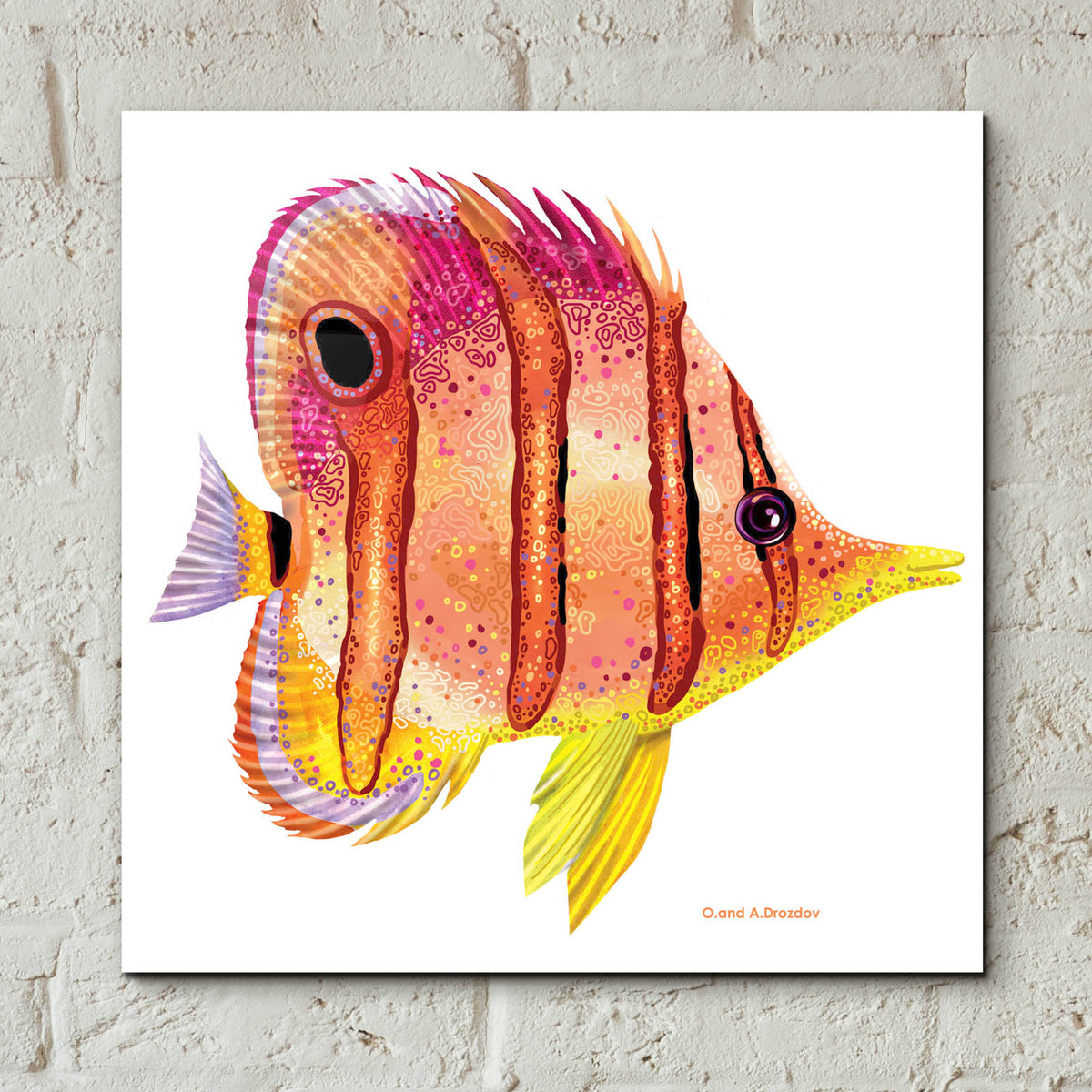 Epic Art 'New Fish 4' by Olga and Alexey Drozdov, Acrylic Glass Wall Art,12x12