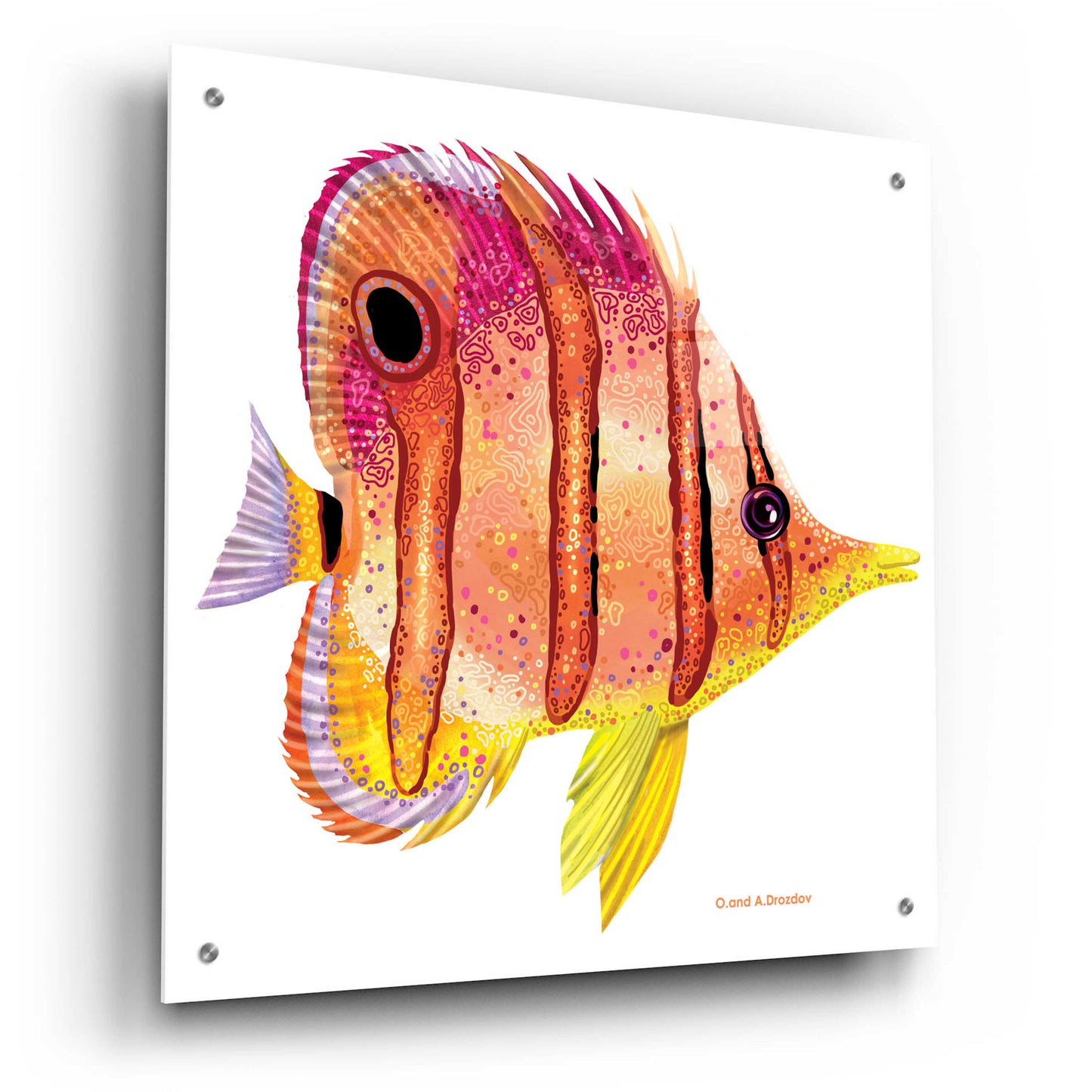 Epic Art 'New Fish 4' by Olga and Alexey Drozdov, Acrylic Glass Wall Art,24x24