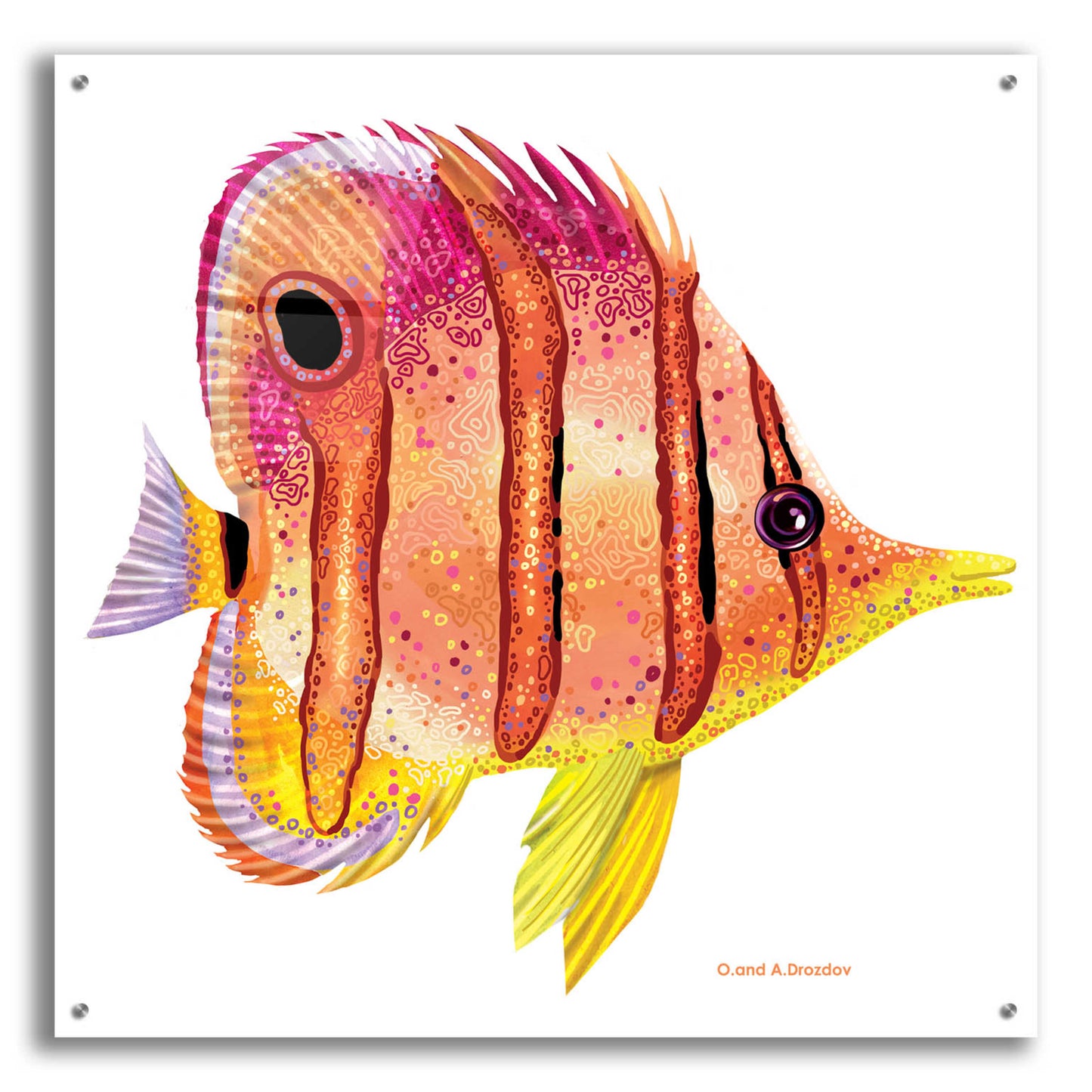 Epic Art 'New Fish 4' by Olga and Alexey Drozdov, Acrylic Glass Wall Art,36x36