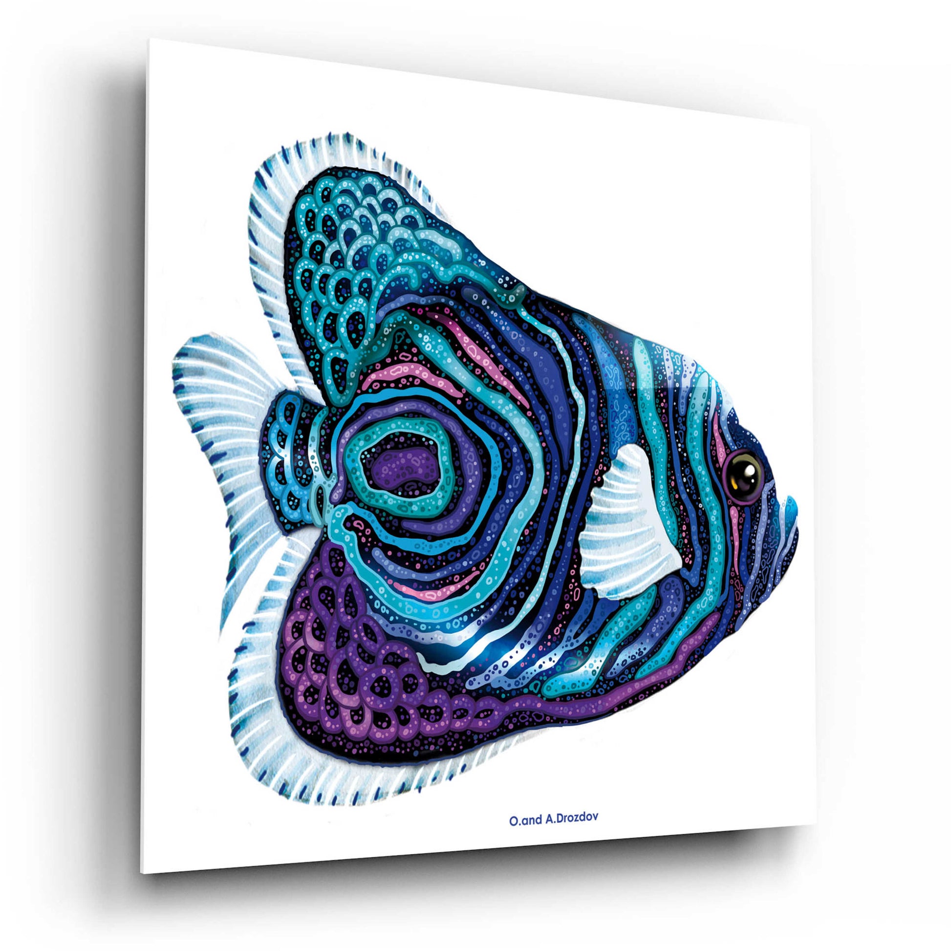 Epic Art 'New Fish 3' by Olga and Alexey Drozdov, Acrylic Glass Wall Art,12x12