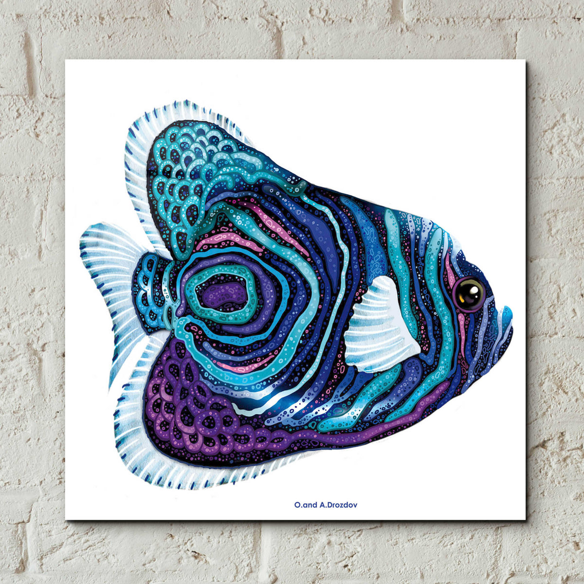 Epic Art 'New Fish 3' by Olga and Alexey Drozdov, Acrylic Glass Wall Art,12x12
