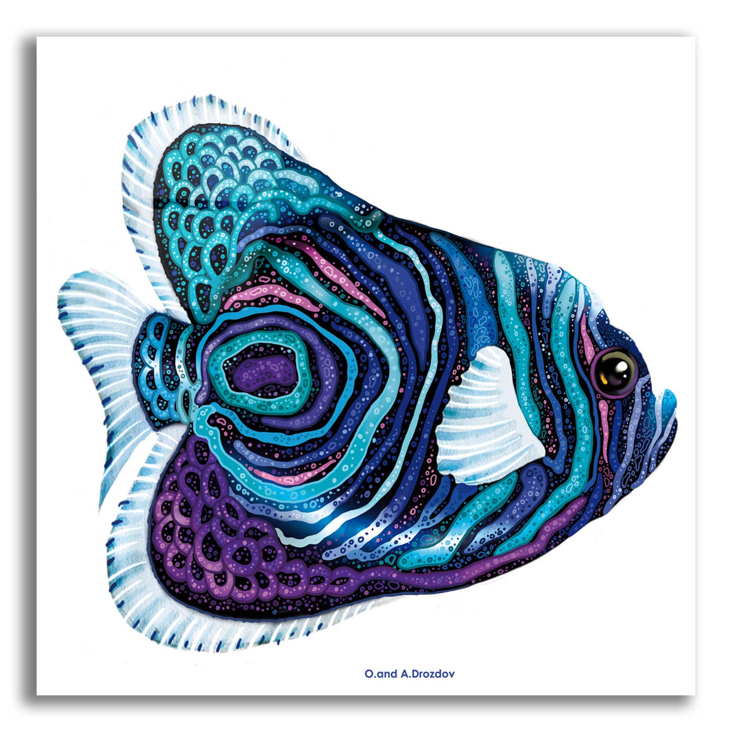 Epic Art 'New Fish 3' by Olga and Alexey Drozdov, Acrylic Glass Wall Art,12x12