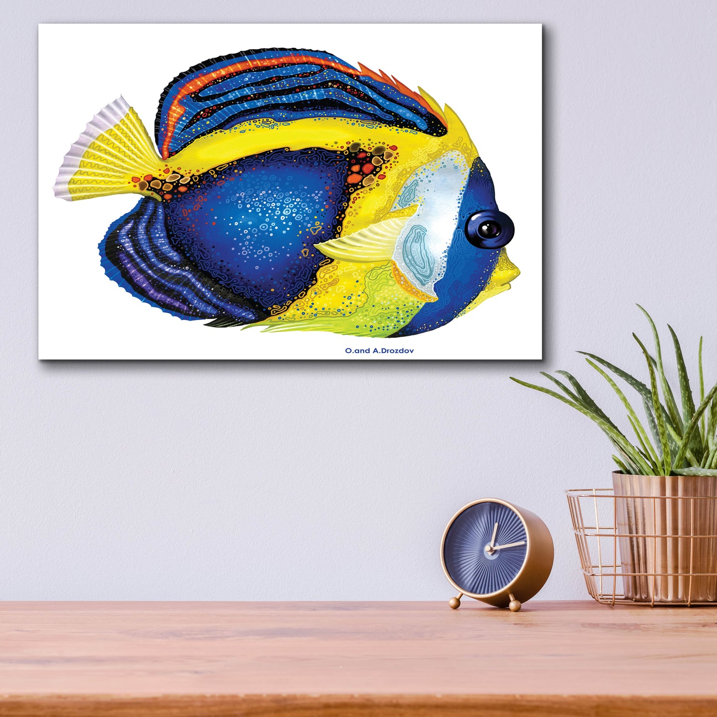 Epic Art 'New Fish 2' by Olga and Alexey Drozdov, Acrylic Glass Wall Art,16x12