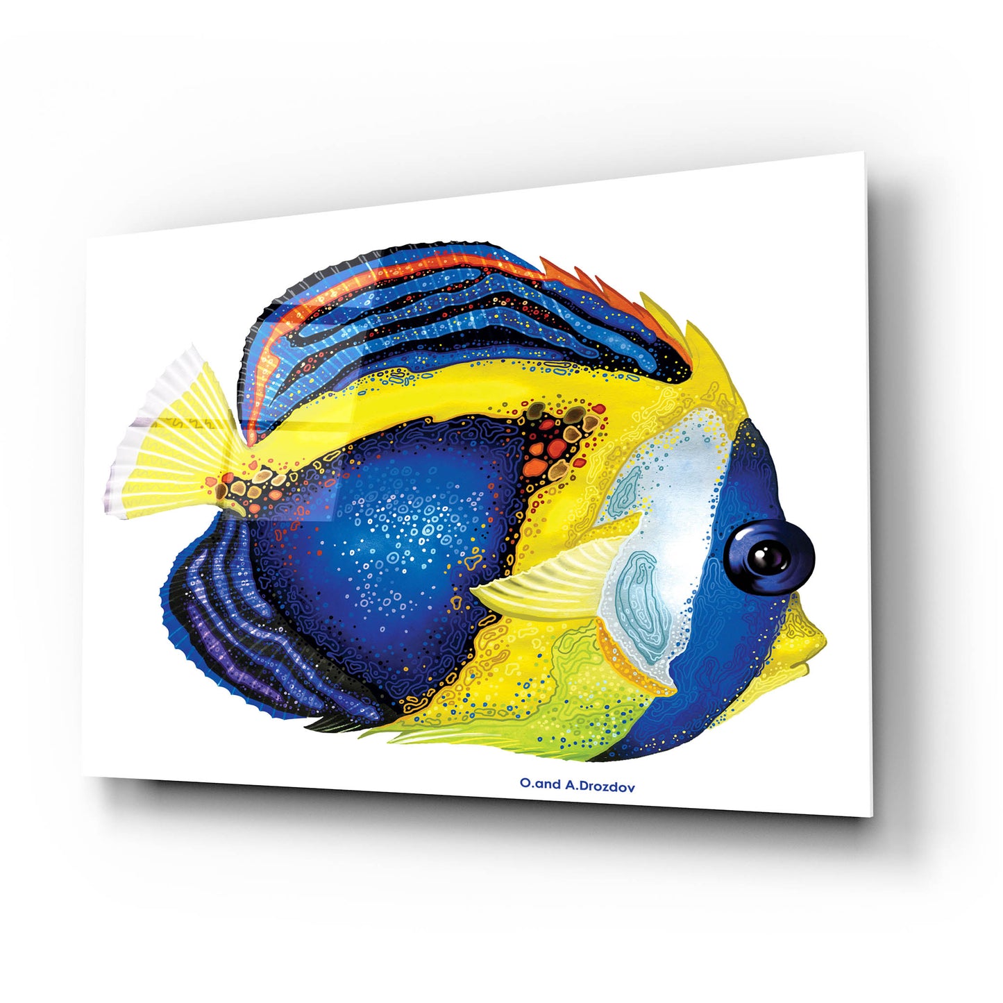 Epic Art 'New Fish 2' by Olga and Alexey Drozdov, Acrylic Glass Wall Art,24x16