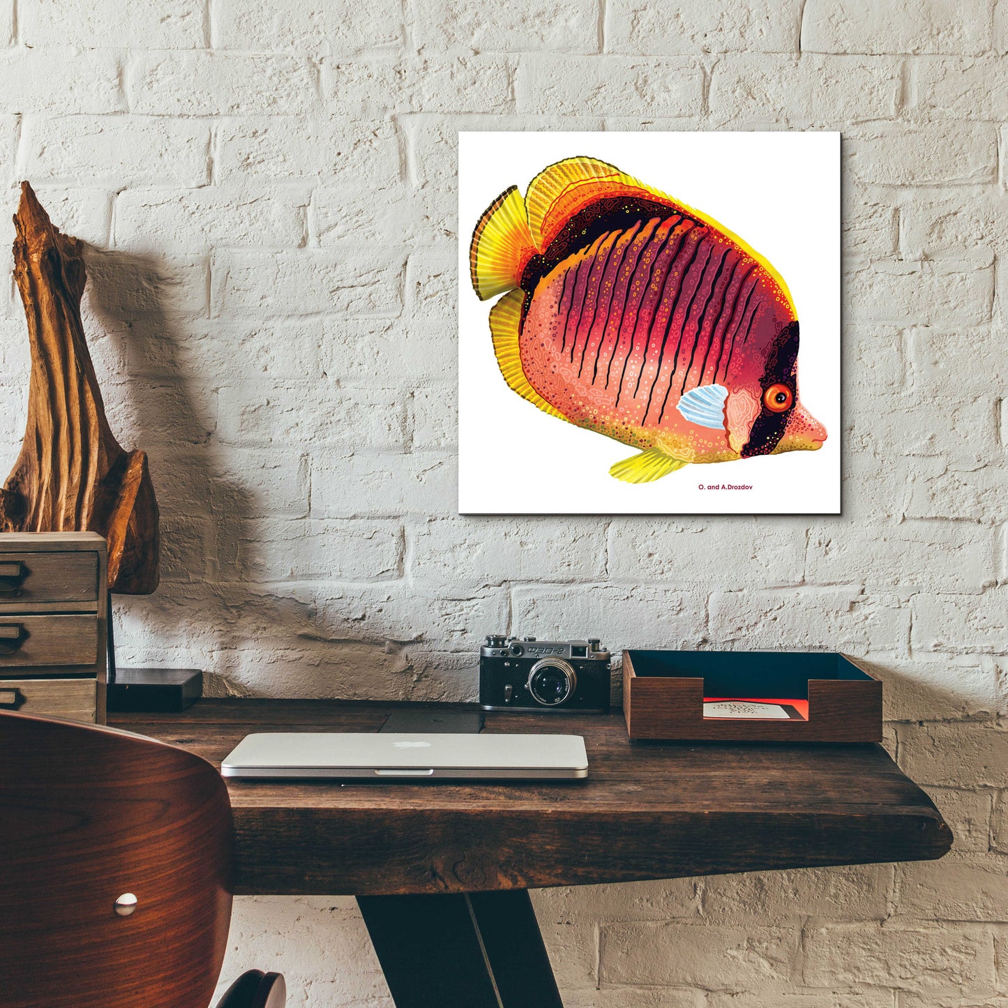 Epic Art 'New Fish 1' by Olga and Alexey Drozdov, Acrylic Glass Wall Art,12x12