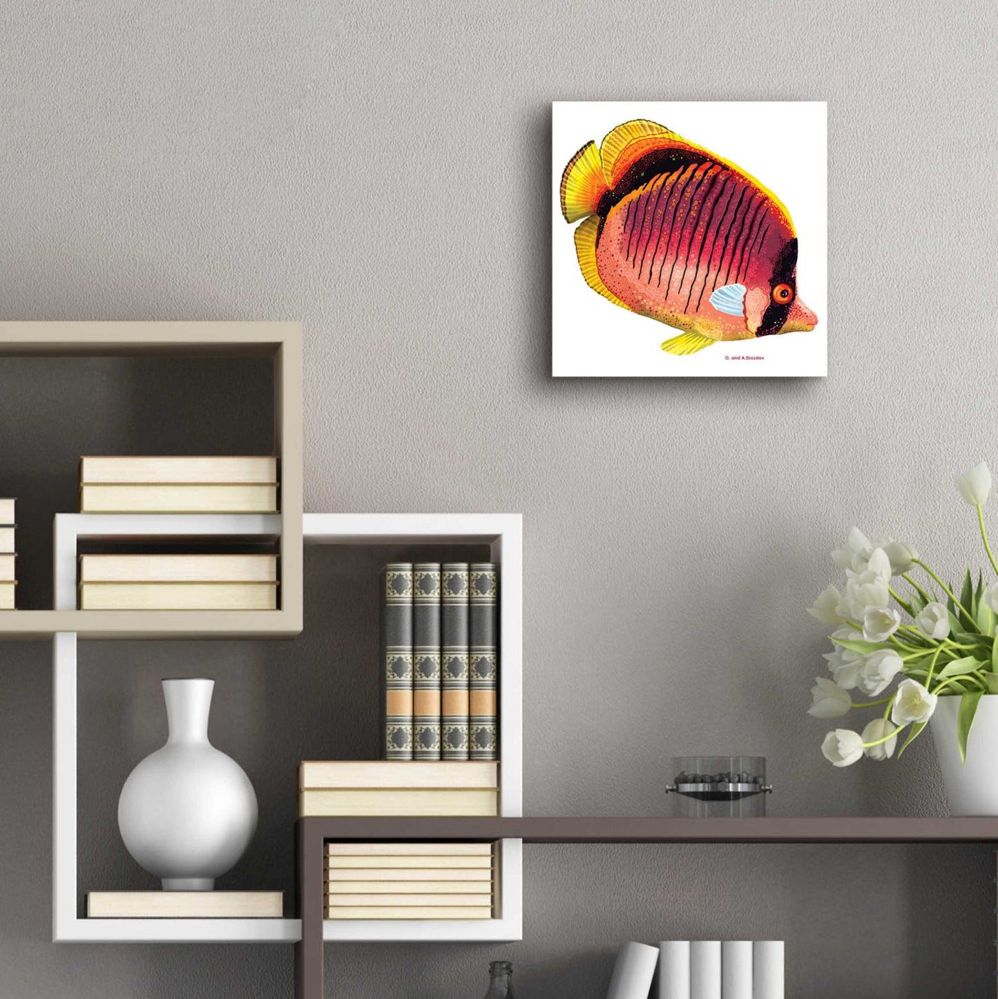 Epic Art 'New Fish 1' by Olga and Alexey Drozdov, Acrylic Glass Wall Art,12x12