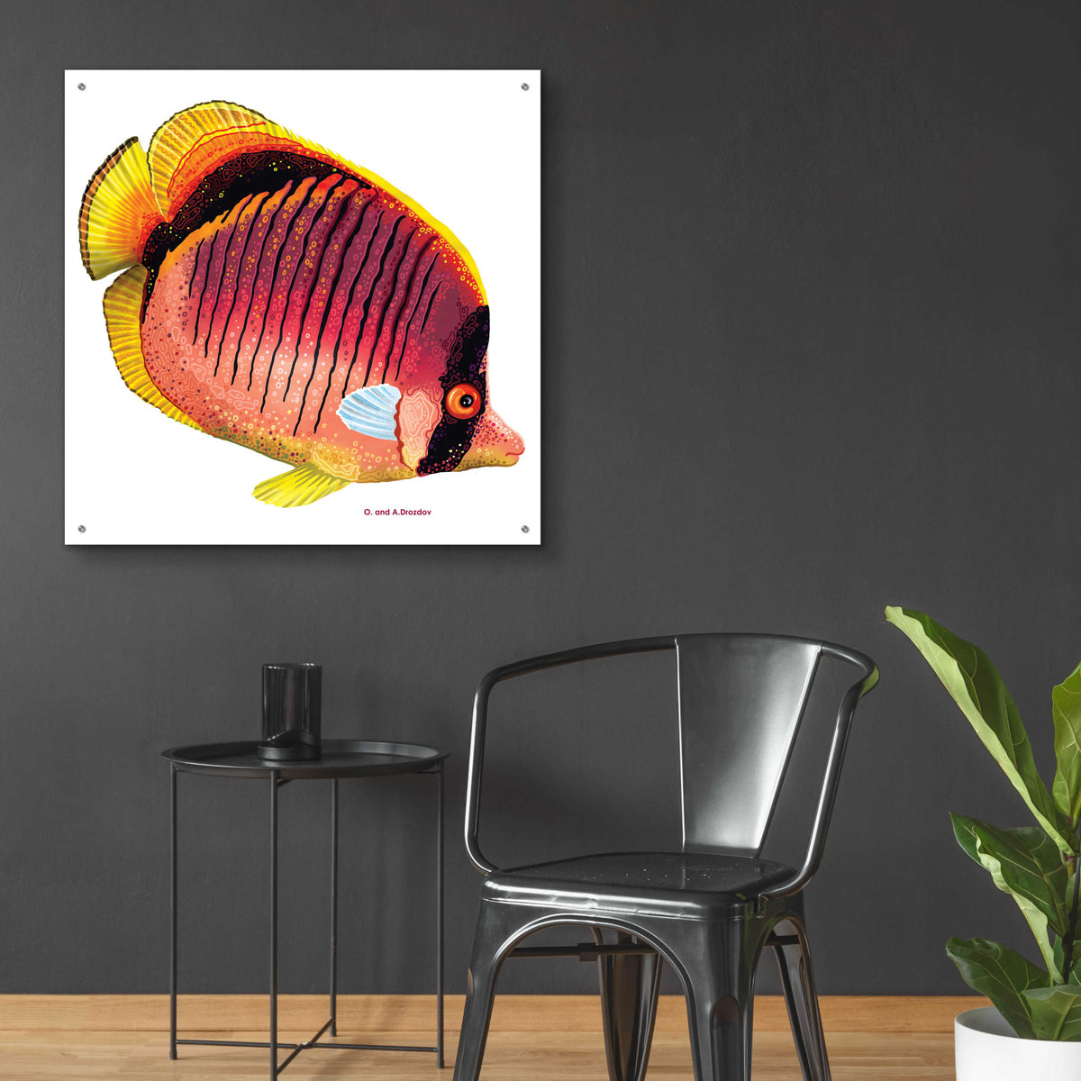 Epic Art 'New Fish 1' by Olga and Alexey Drozdov, Acrylic Glass Wall Art,36x36