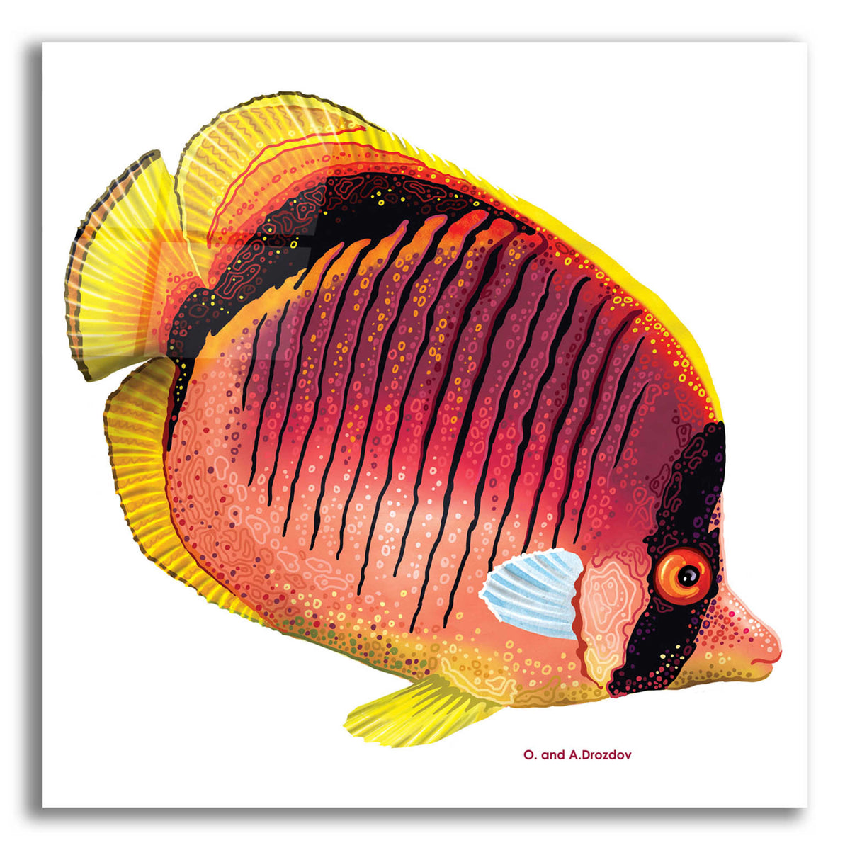 Epic Art 'New Fish 1' by Olga and Alexey Drozdov, Acrylic Glass Wall Art