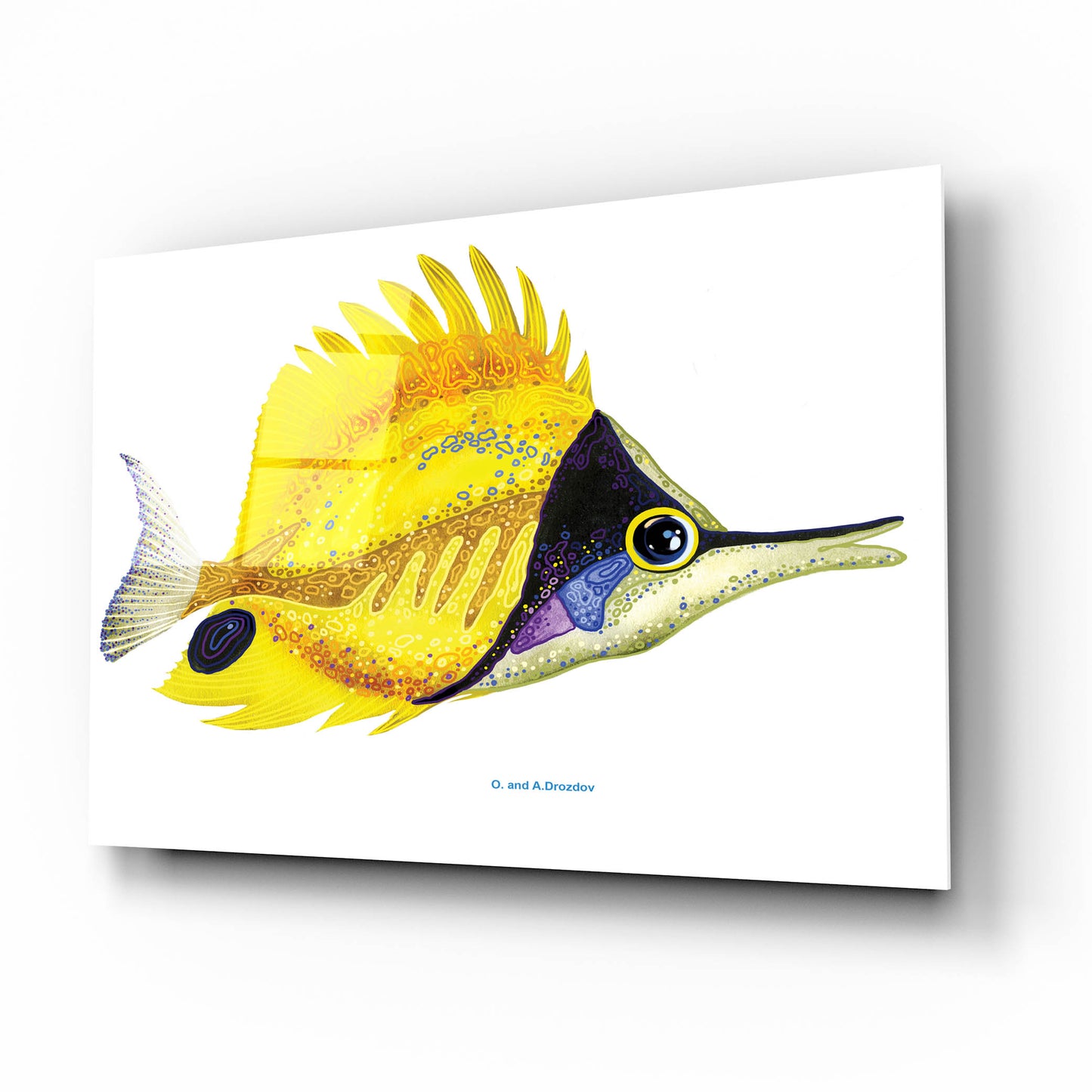 Epic Art 'Fish 5 Red Yellow' by Olga and Alexey Drozdov, Acrylic Glass Wall Art,16x12