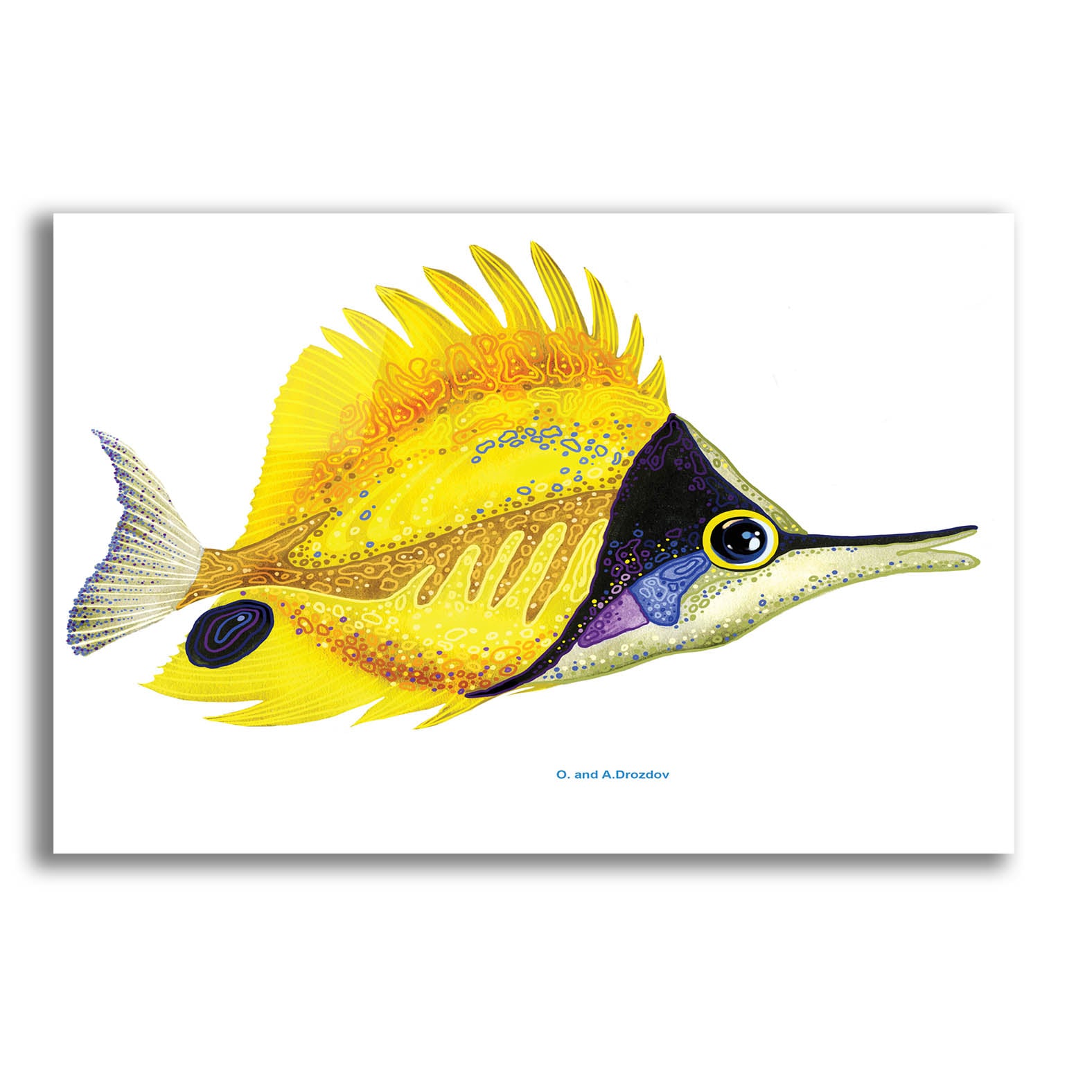 Epic Art 'Fish 5 Red Yellow' by Olga and Alexey Drozdov, Acrylic Glass Wall Art,16x12