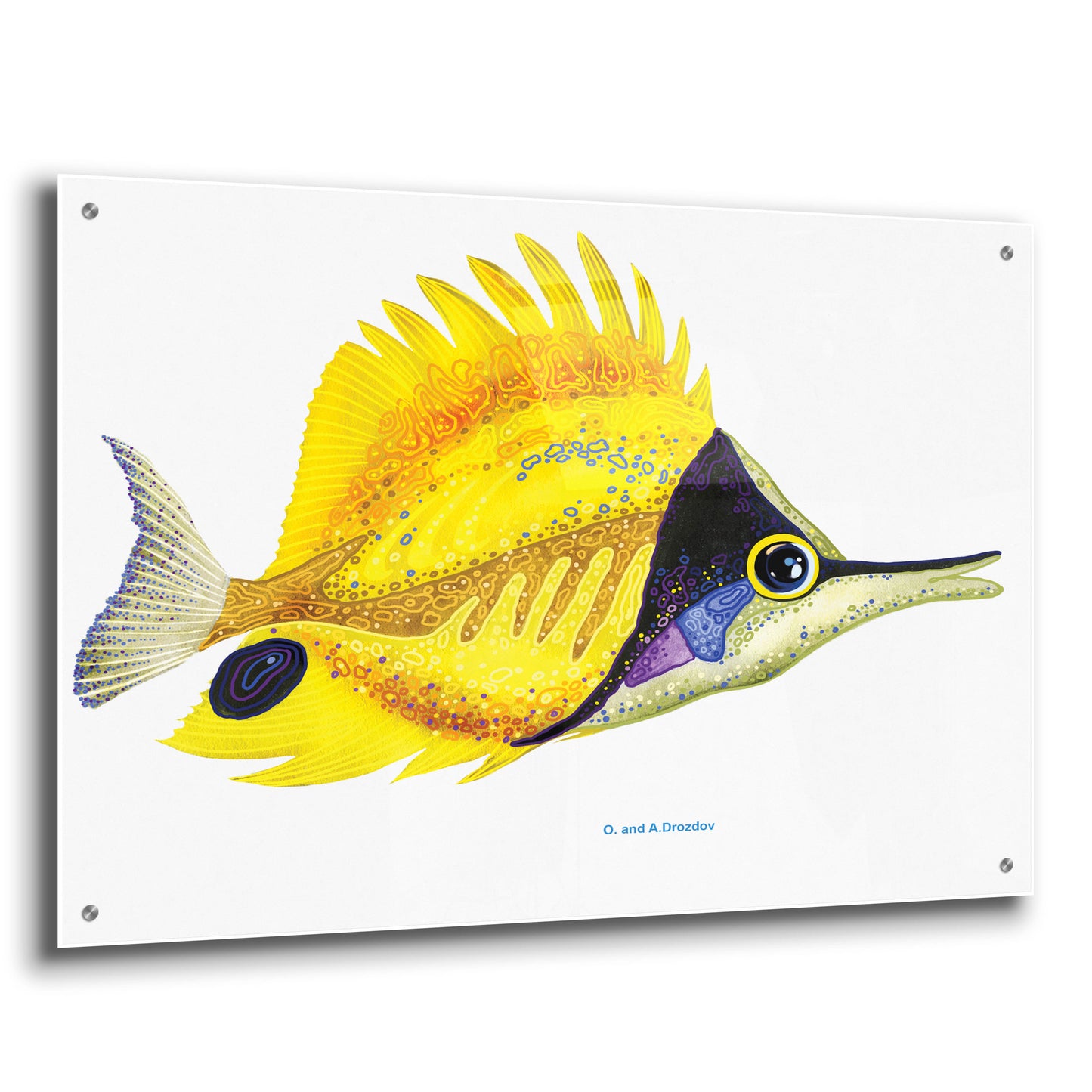 Epic Art 'Fish 5 Red Yellow' by Olga and Alexey Drozdov, Acrylic Glass Wall Art,36x24