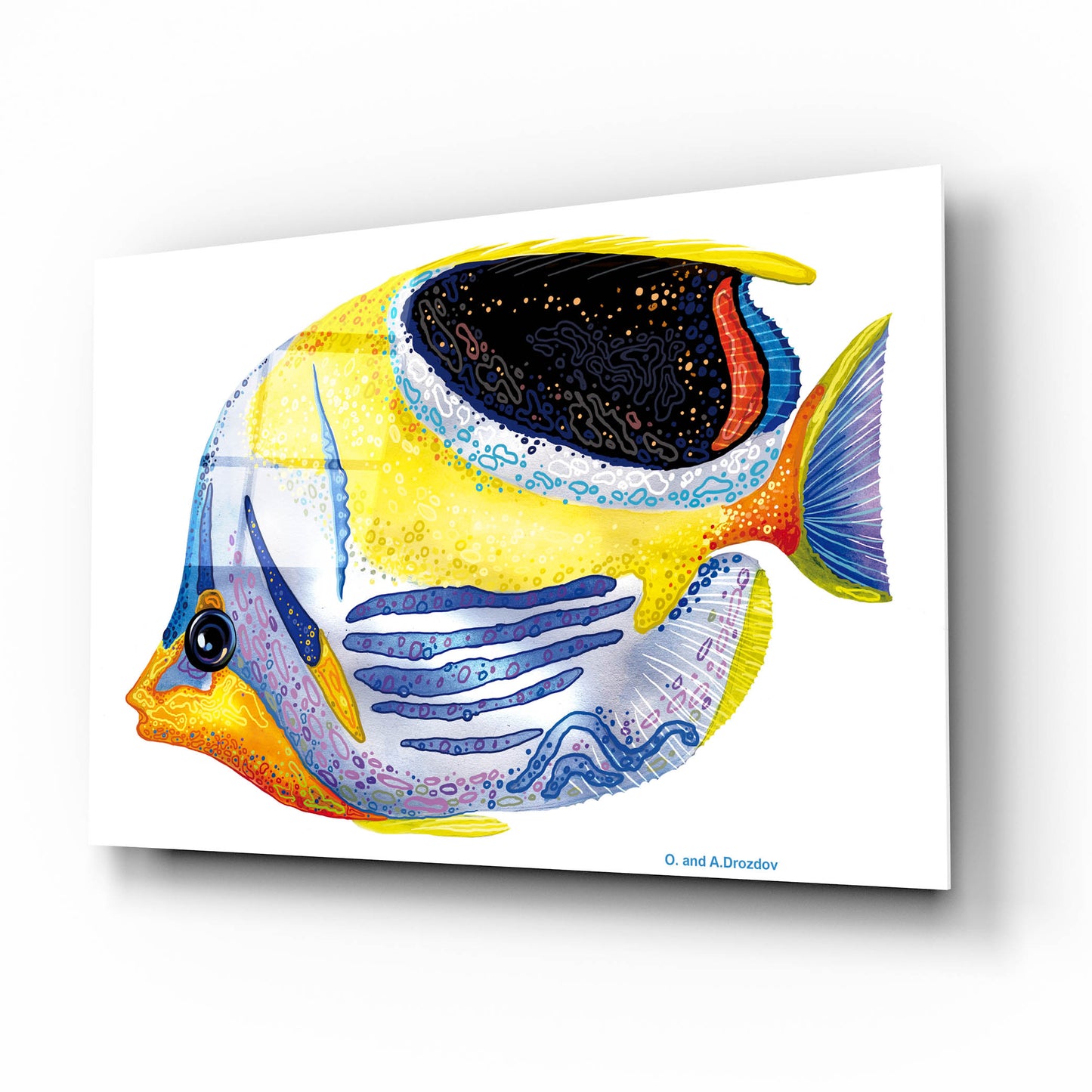 Epic Art 'Fish 5 Blue Yellow' by Olga and Alexey Drozdov, Acrylic Glass Wall Art,16x12