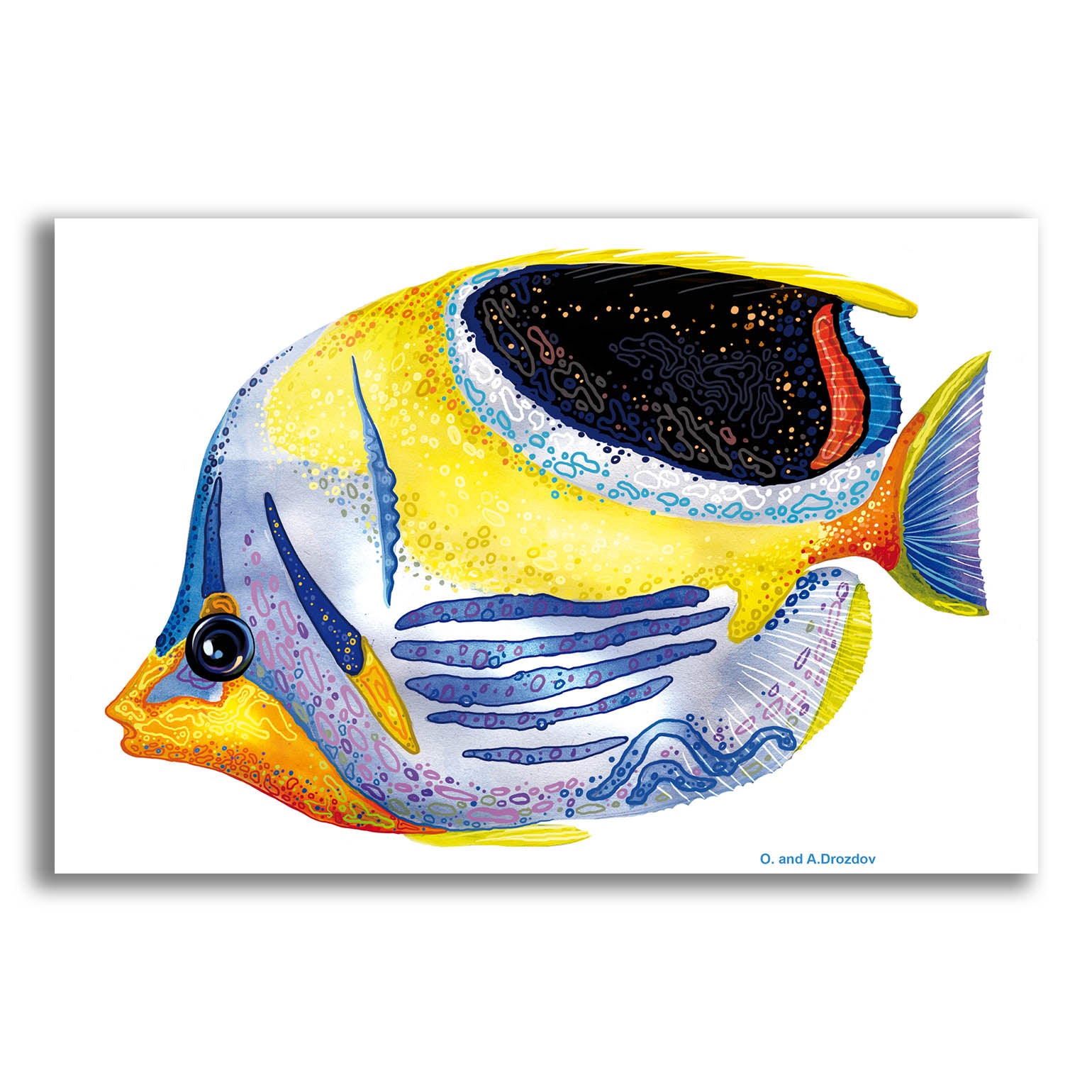 Epic Art 'Fish 5 Blue Yellow' by Olga and Alexey Drozdov, Acrylic Glass Wall Art,16x12