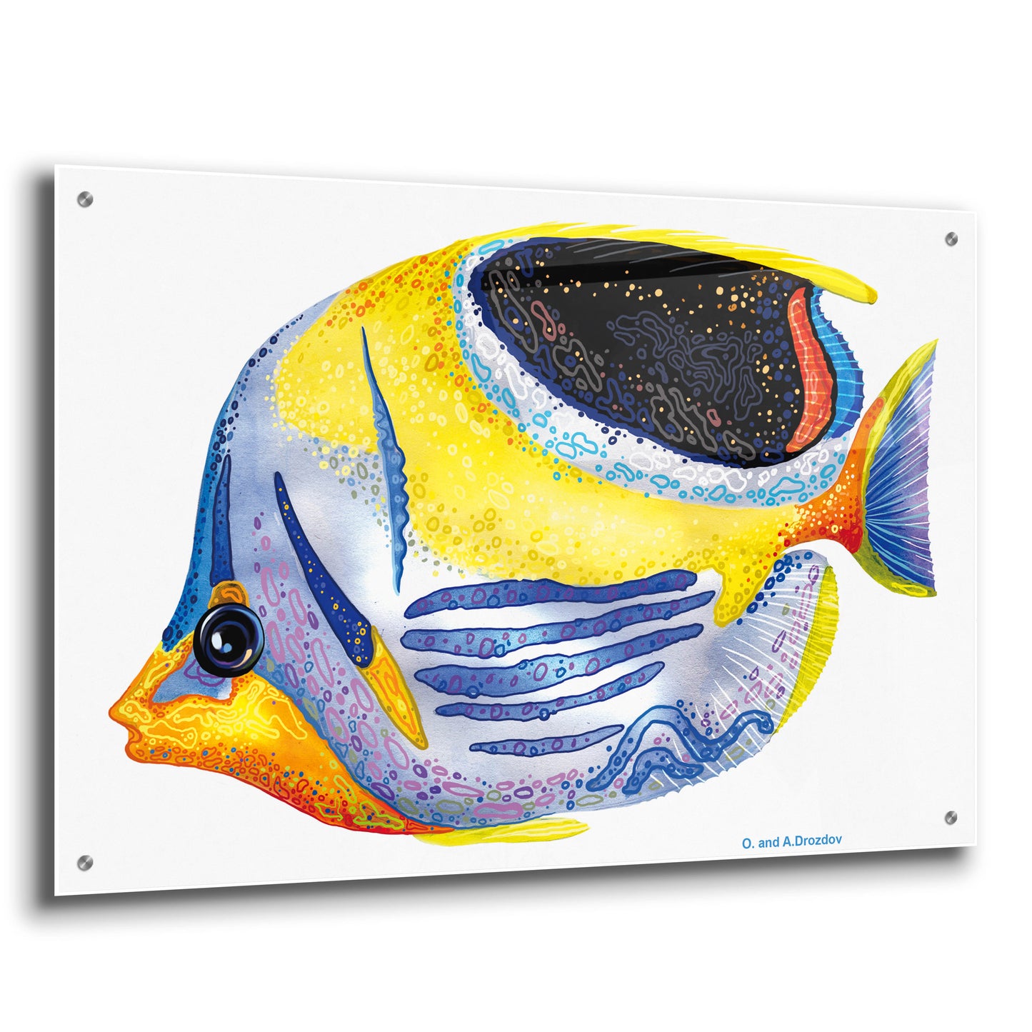 Epic Art 'Fish 5 Blue Yellow' by Olga and Alexey Drozdov, Acrylic Glass Wall Art,36x24