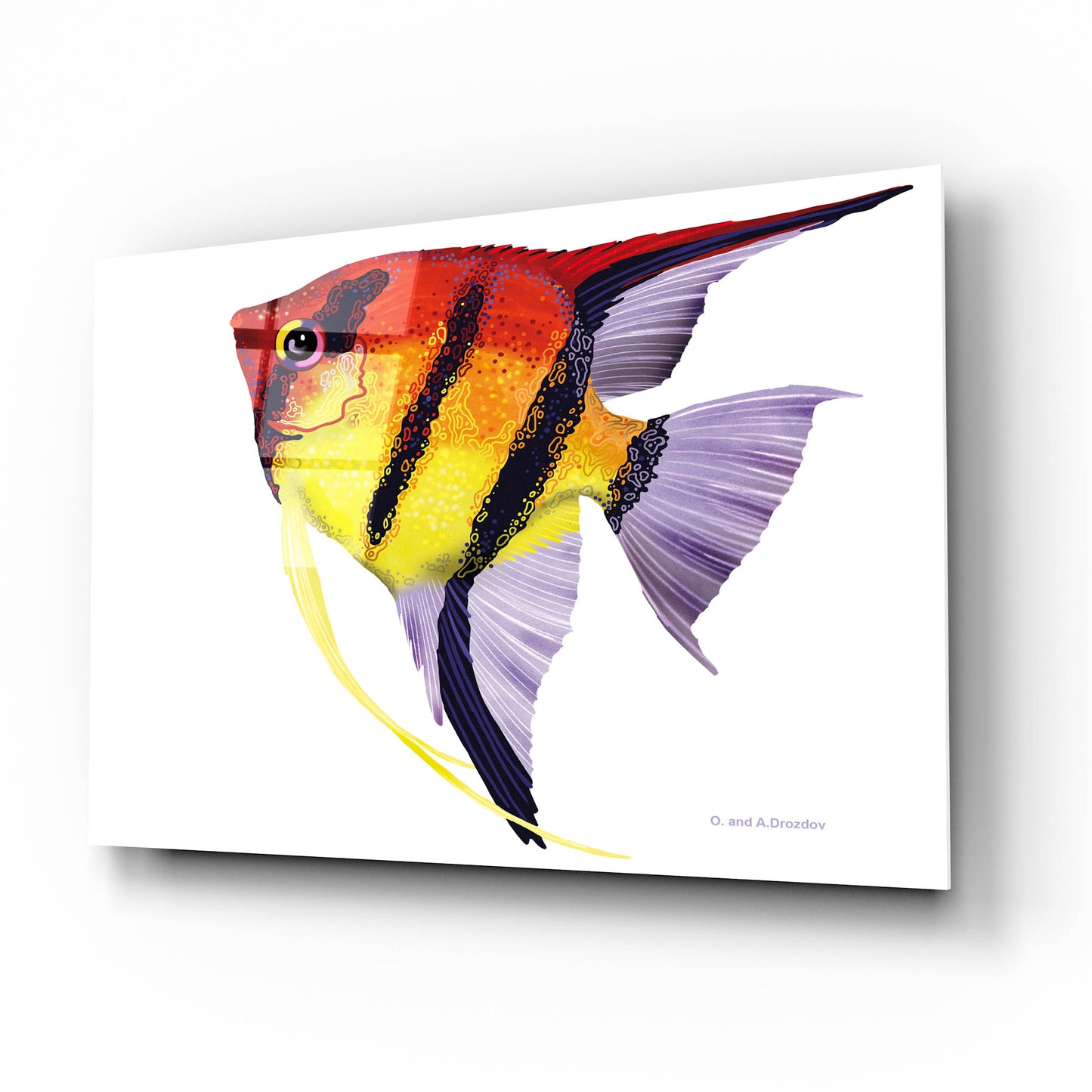 Epic Art 'Fish 4 Red Yellow' by Olga and Alexey Drozdov, Acrylic Glass Wall Art,16x12