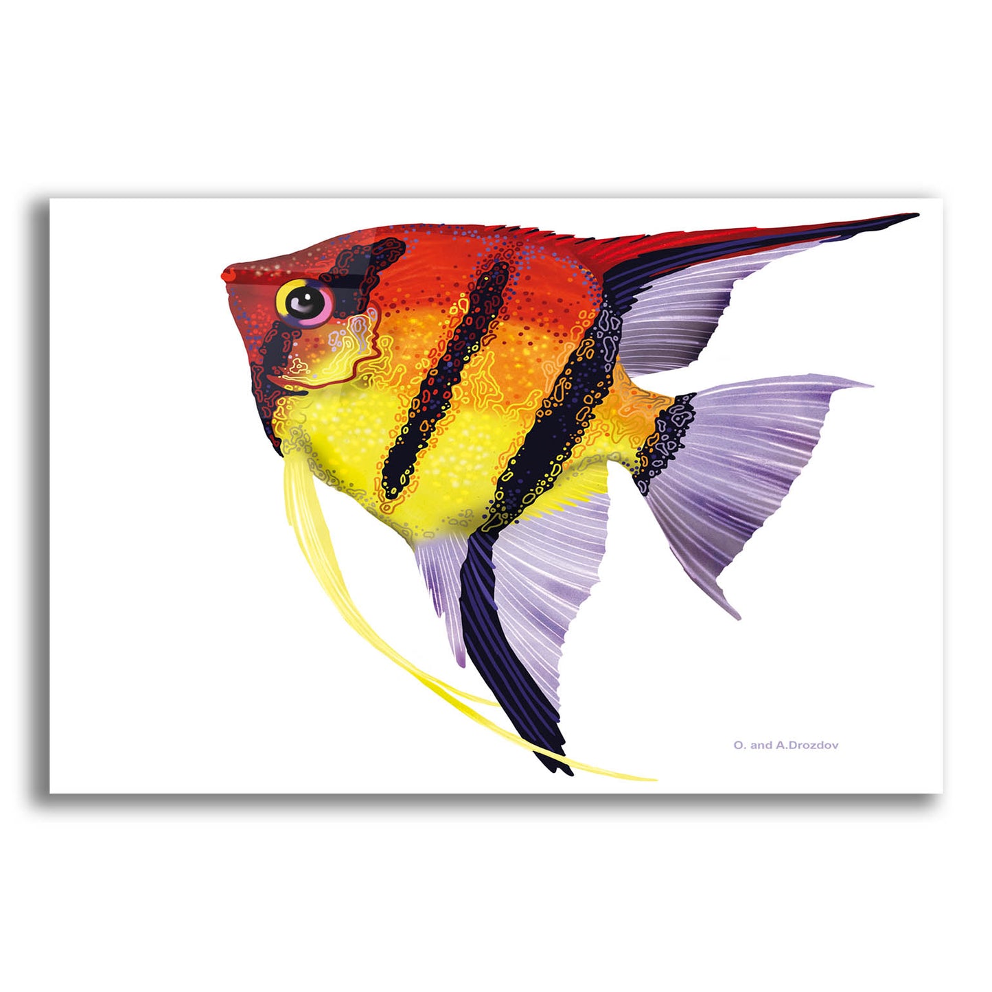 Epic Art 'Fish 4 Red Yellow' by Olga and Alexey Drozdov, Acrylic Glass Wall Art,16x12