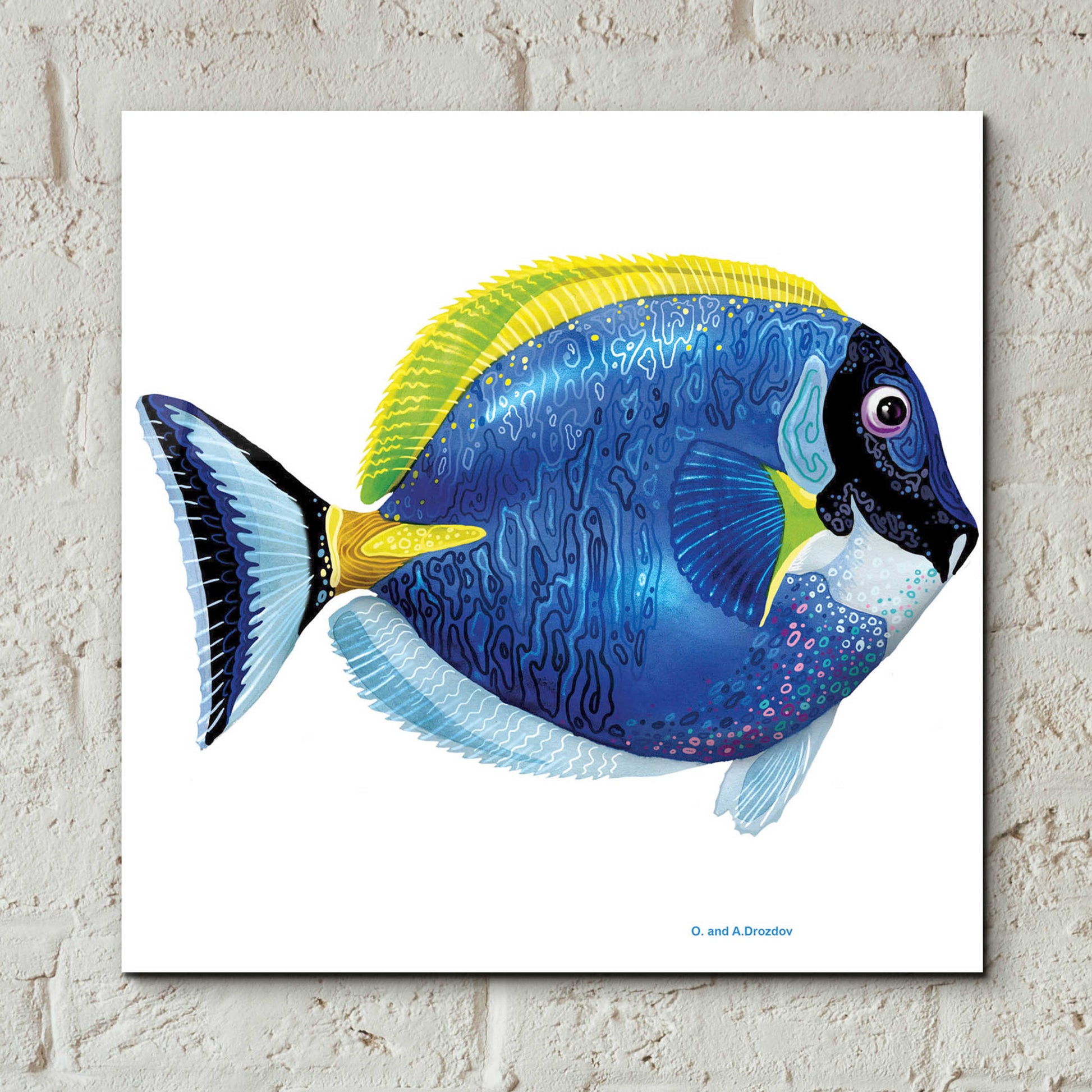 Epic Art 'Fish 4 Blue Yellow' by Olga and Alexey Drozdov, Acrylic Glass Wall Art,12x12