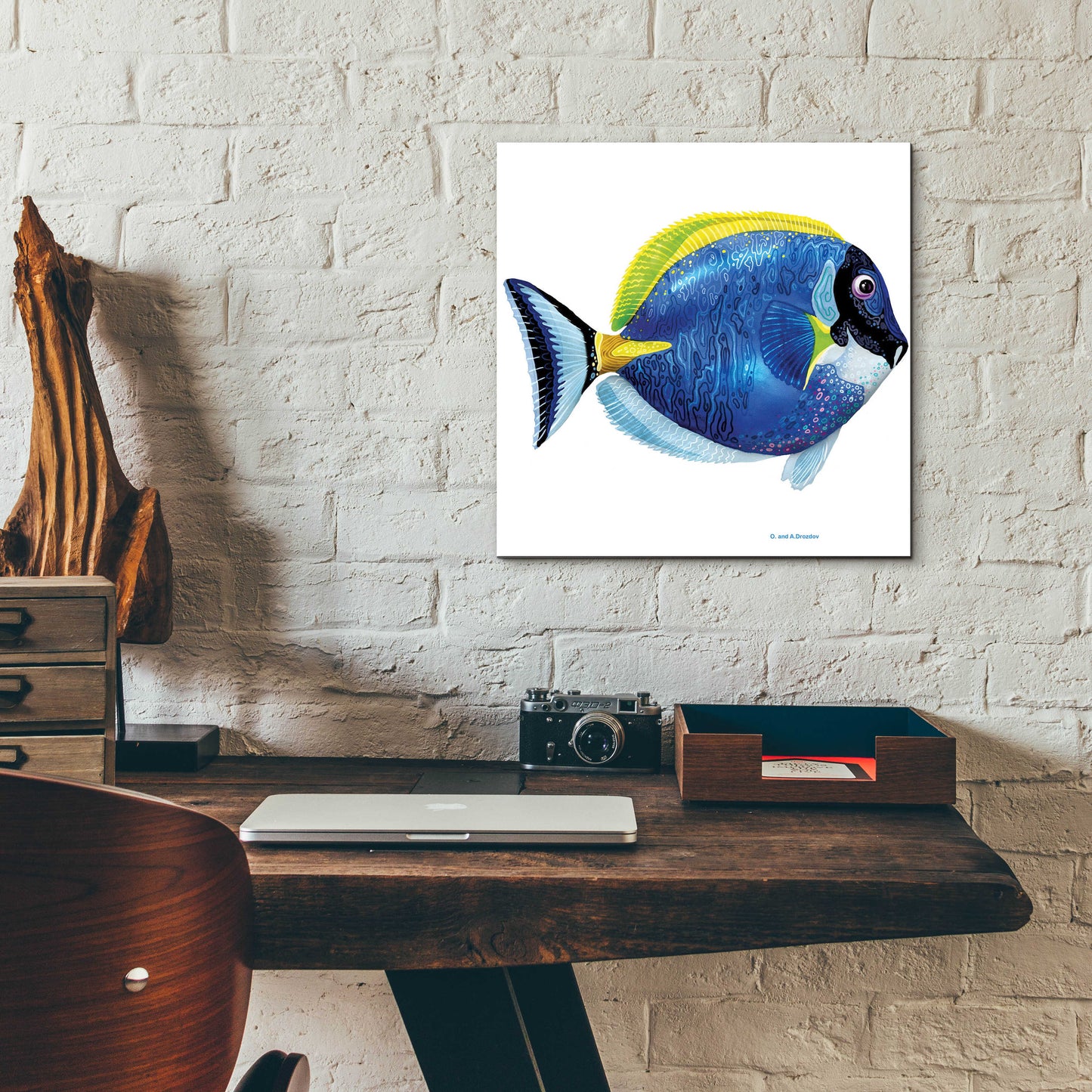 Epic Art 'Fish 4 Blue Yellow' by Olga and Alexey Drozdov, Acrylic Glass Wall Art,12x12