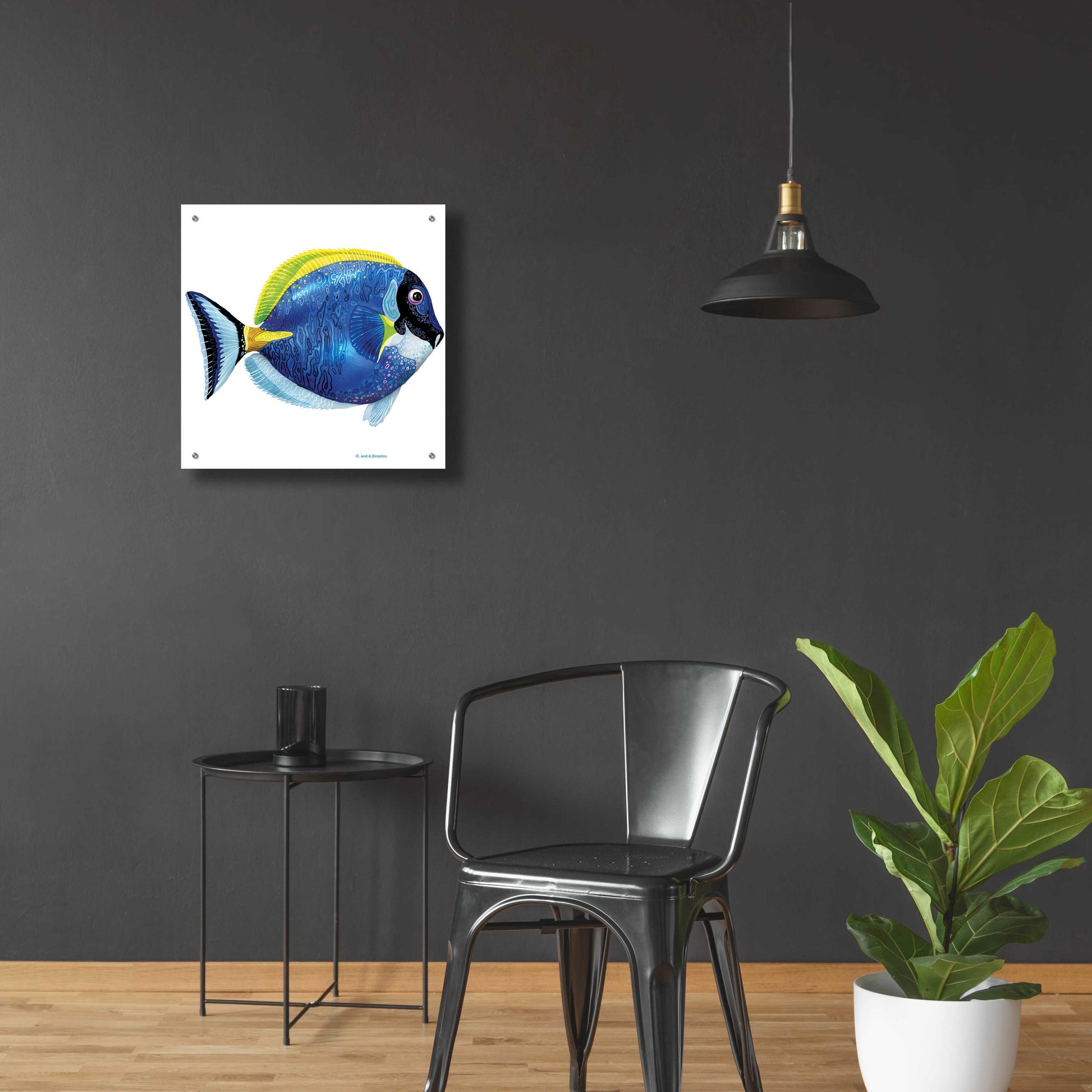 Epic Art 'Fish 4 Blue Yellow' by Olga and Alexey Drozdov, Acrylic Glass Wall Art,24x24