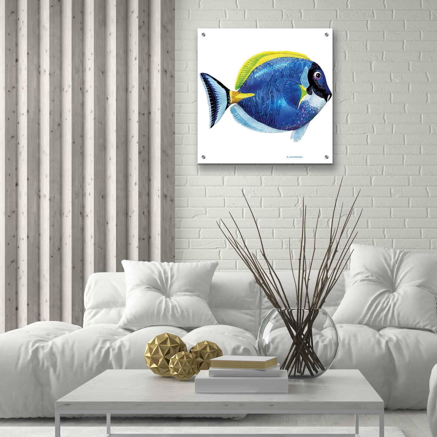 Epic Art 'Fish 4 Blue Yellow' by Olga and Alexey Drozdov, Acrylic Glass Wall Art,24x24