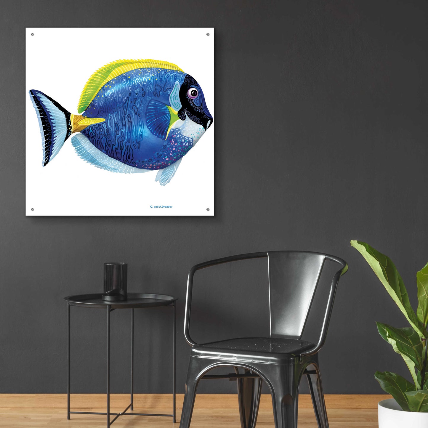 Epic Art 'Fish 4 Blue Yellow' by Olga and Alexey Drozdov, Acrylic Glass Wall Art,36x36