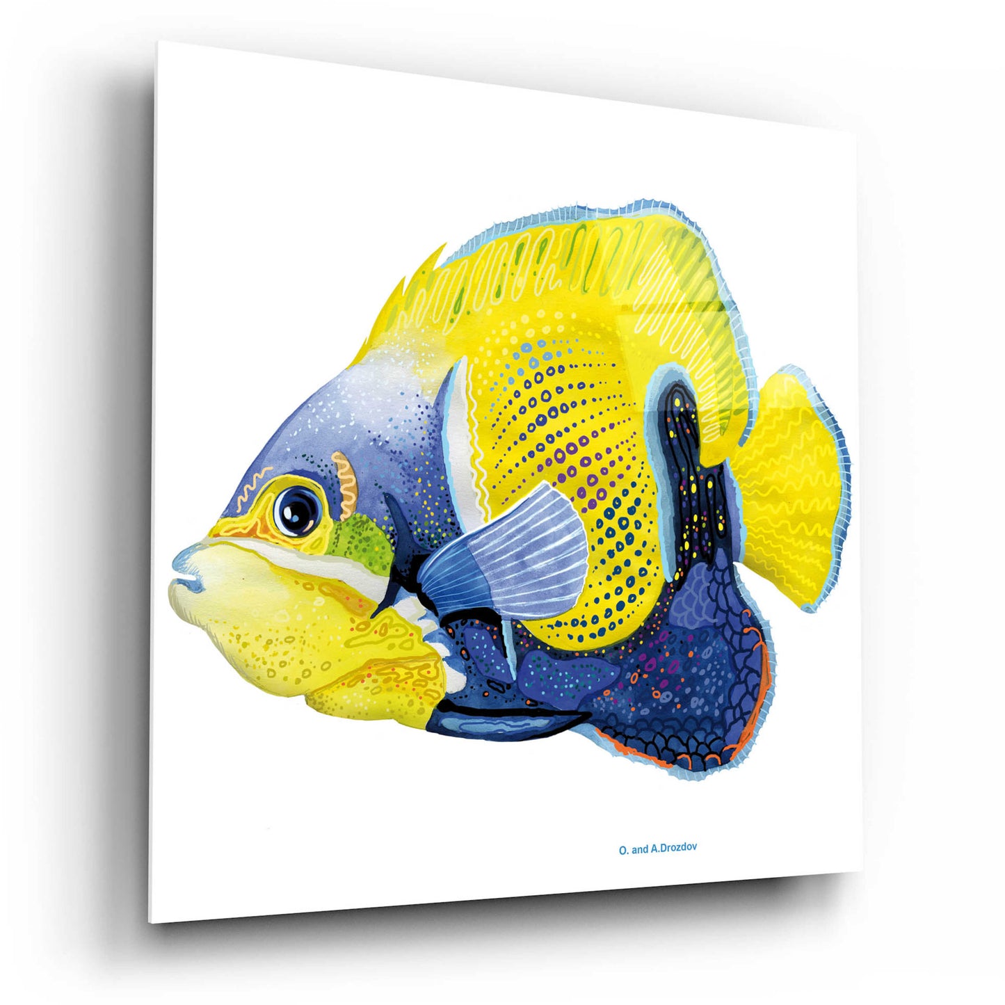 Epic Art 'Fish 3 Blue Yellow' by Olga and Alexey Drozdov, Acrylic Glass Wall Art,12x12