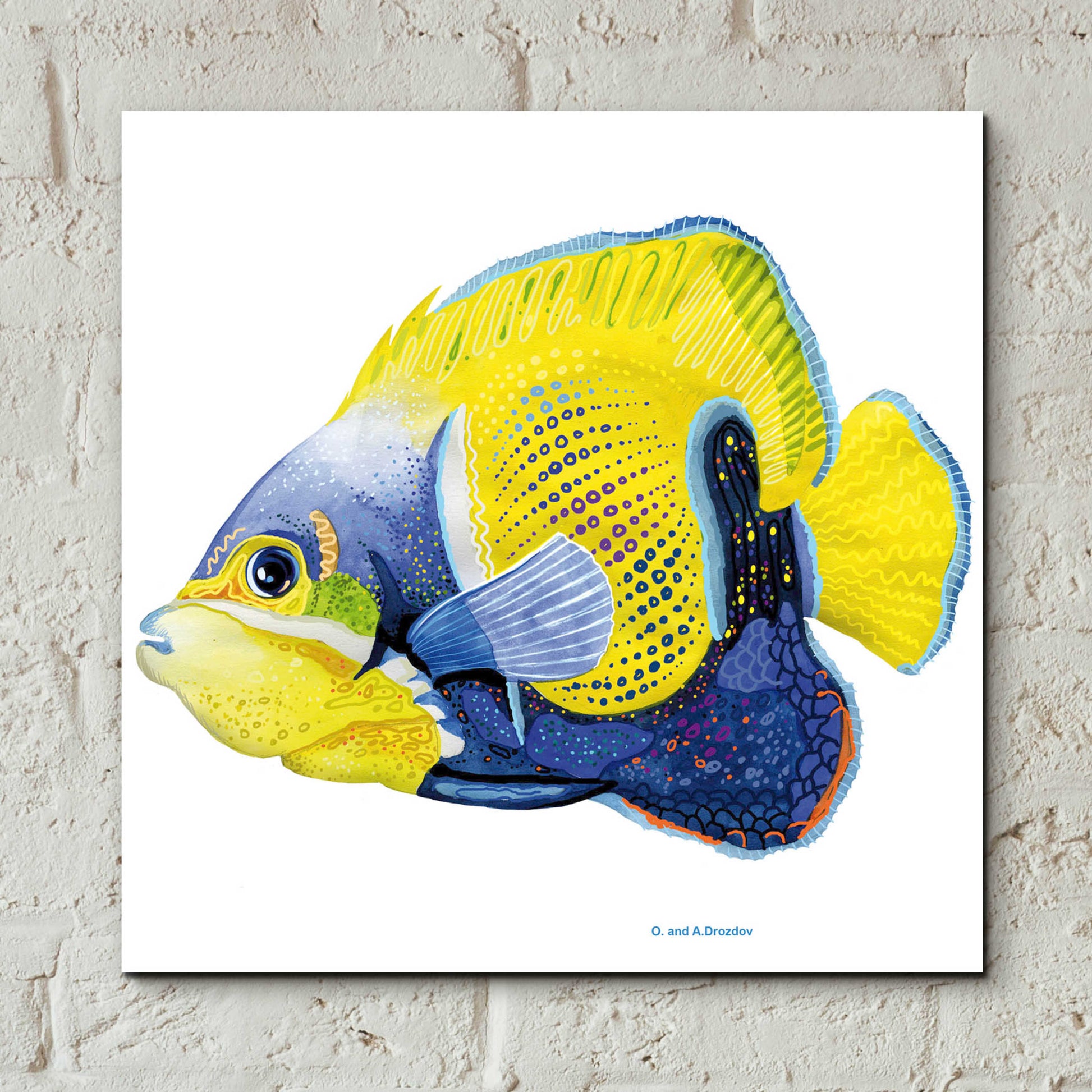 Epic Art 'Fish 3 Blue Yellow' by Olga and Alexey Drozdov, Acrylic Glass Wall Art,12x12