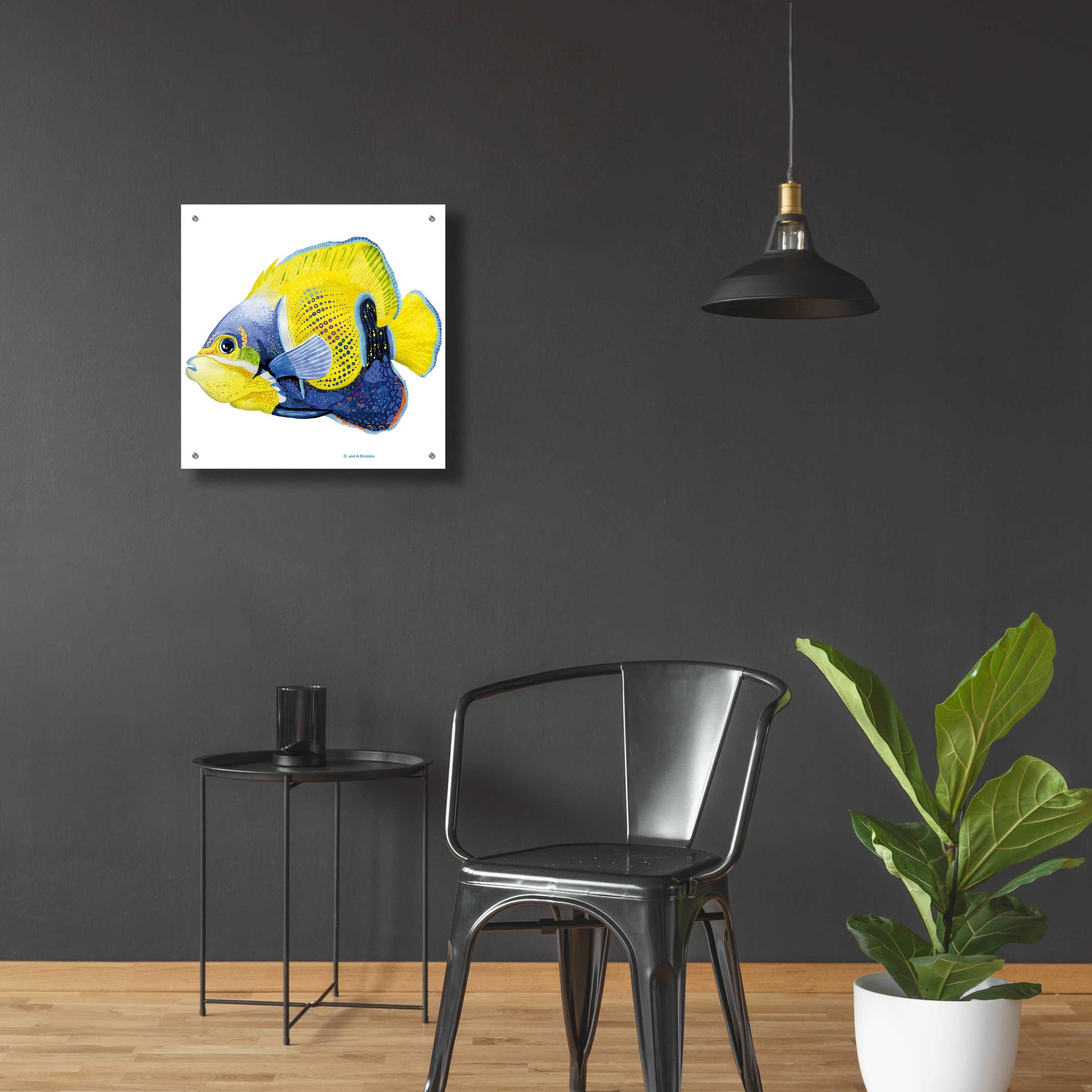 Epic Art 'Fish 3 Blue Yellow' by Olga and Alexey Drozdov, Acrylic Glass Wall Art,24x24