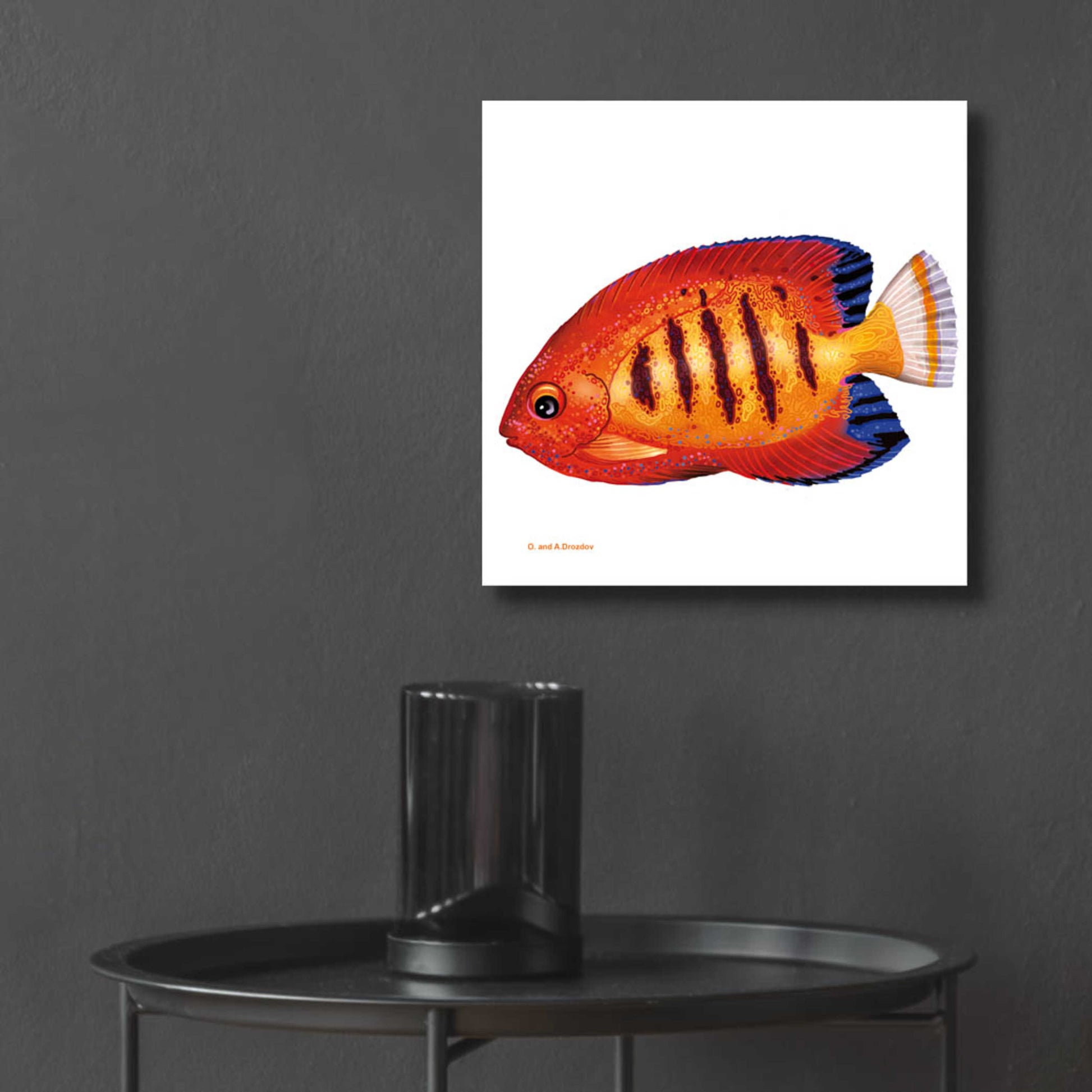 Epic Art 'Fish 2 Red Yellow' by Olga and Alexey Drozdov, Acrylic Glass Wall Art,12x12