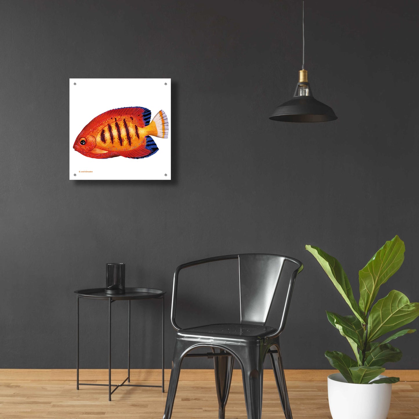 Epic Art 'Fish 2 Red Yellow' by Olga and Alexey Drozdov, Acrylic Glass Wall Art,24x24