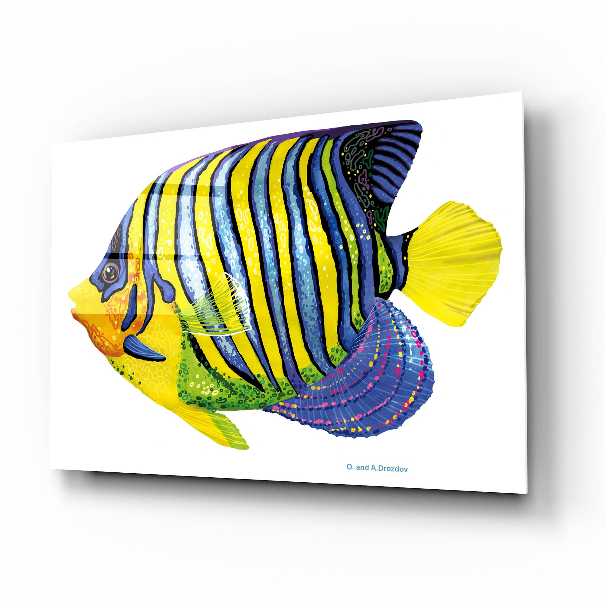 Epic Art 'Fish 2 Blue Yellow' by Olga and Alexey Drozdov, Acrylic Glass Wall Art,16x12