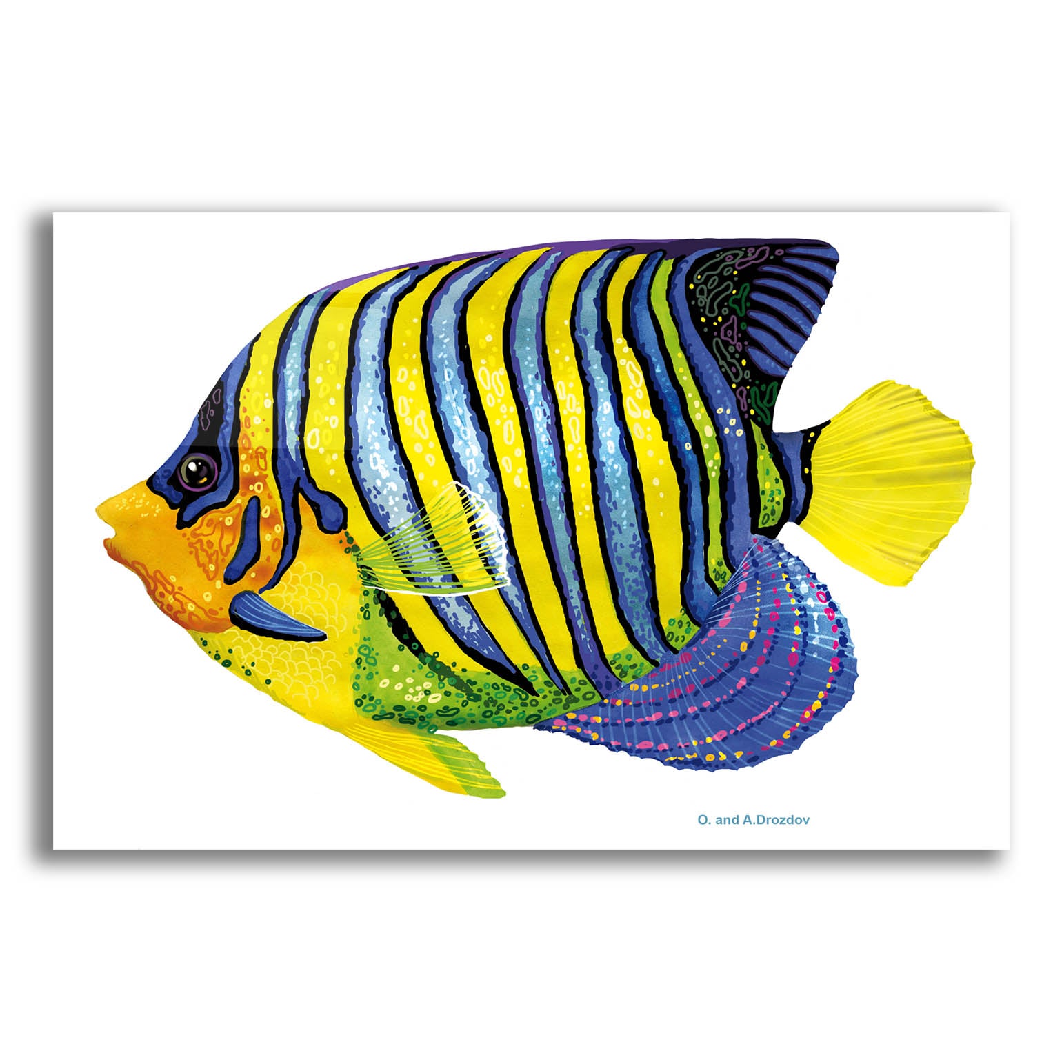 Epic Art 'Fish 2 Blue Yellow' by Olga and Alexey Drozdov, Acrylic Glass Wall Art,16x12