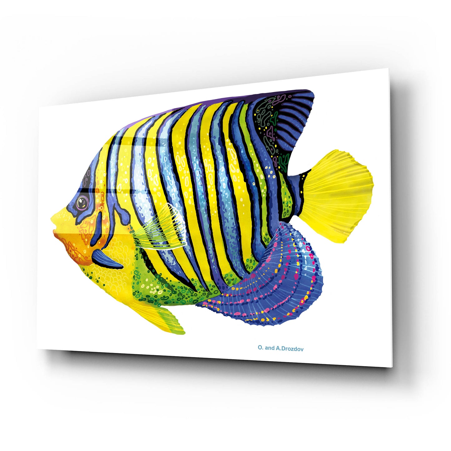 Epic Art 'Fish 2 Blue Yellow' by Olga and Alexey Drozdov, Acrylic Glass Wall Art,24x16