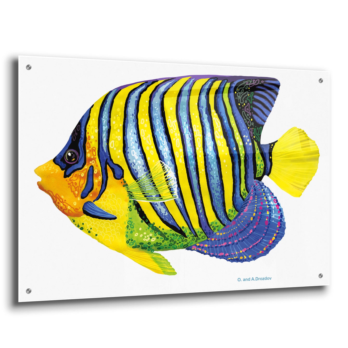 Epic Art 'Fish 2 Blue Yellow' by Olga and Alexey Drozdov, Acrylic Glass Wall Art,36x24