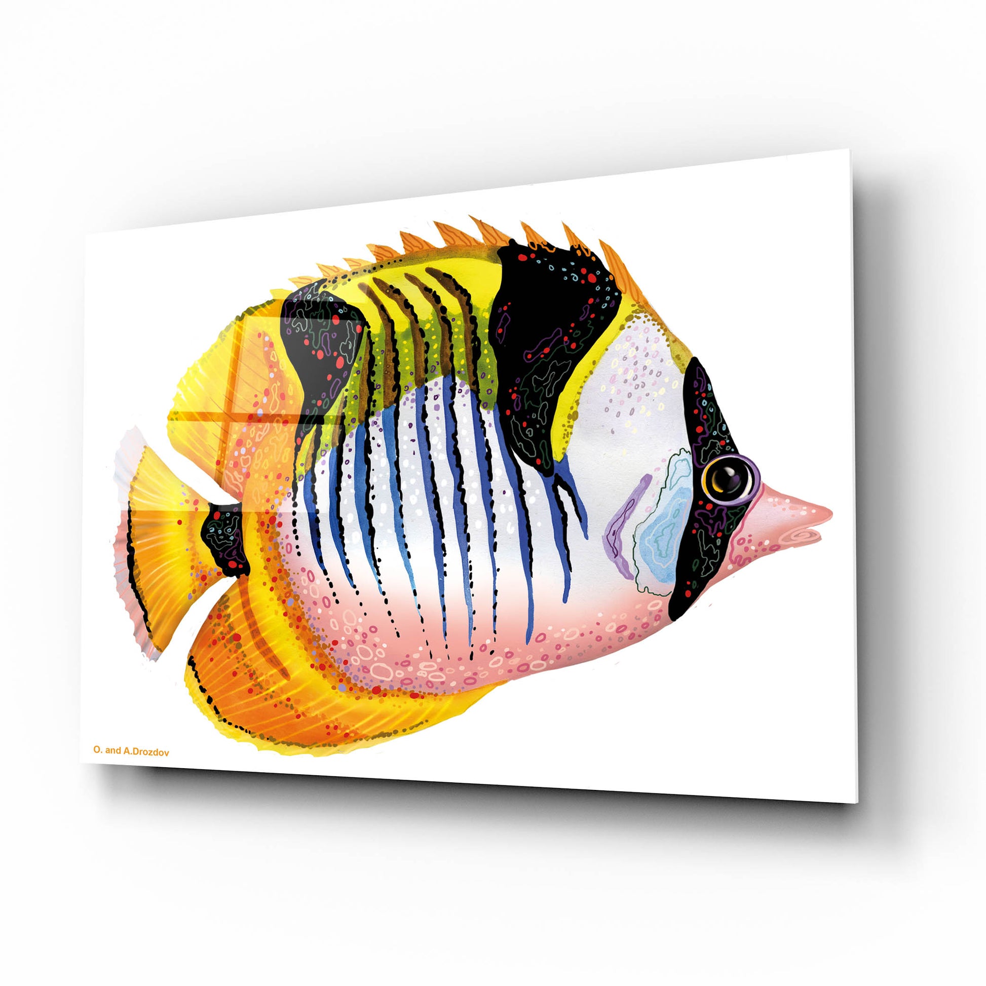 Epic Art 'Fish 1 Red Yellow' by Olga and Alexey Drozdov, Acrylic Glass Wall Art,16x12