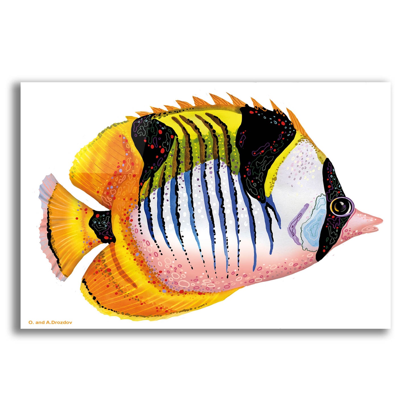 Epic Art 'Fish 1 Red Yellow' by Olga and Alexey Drozdov, Acrylic Glass Wall Art,16x12