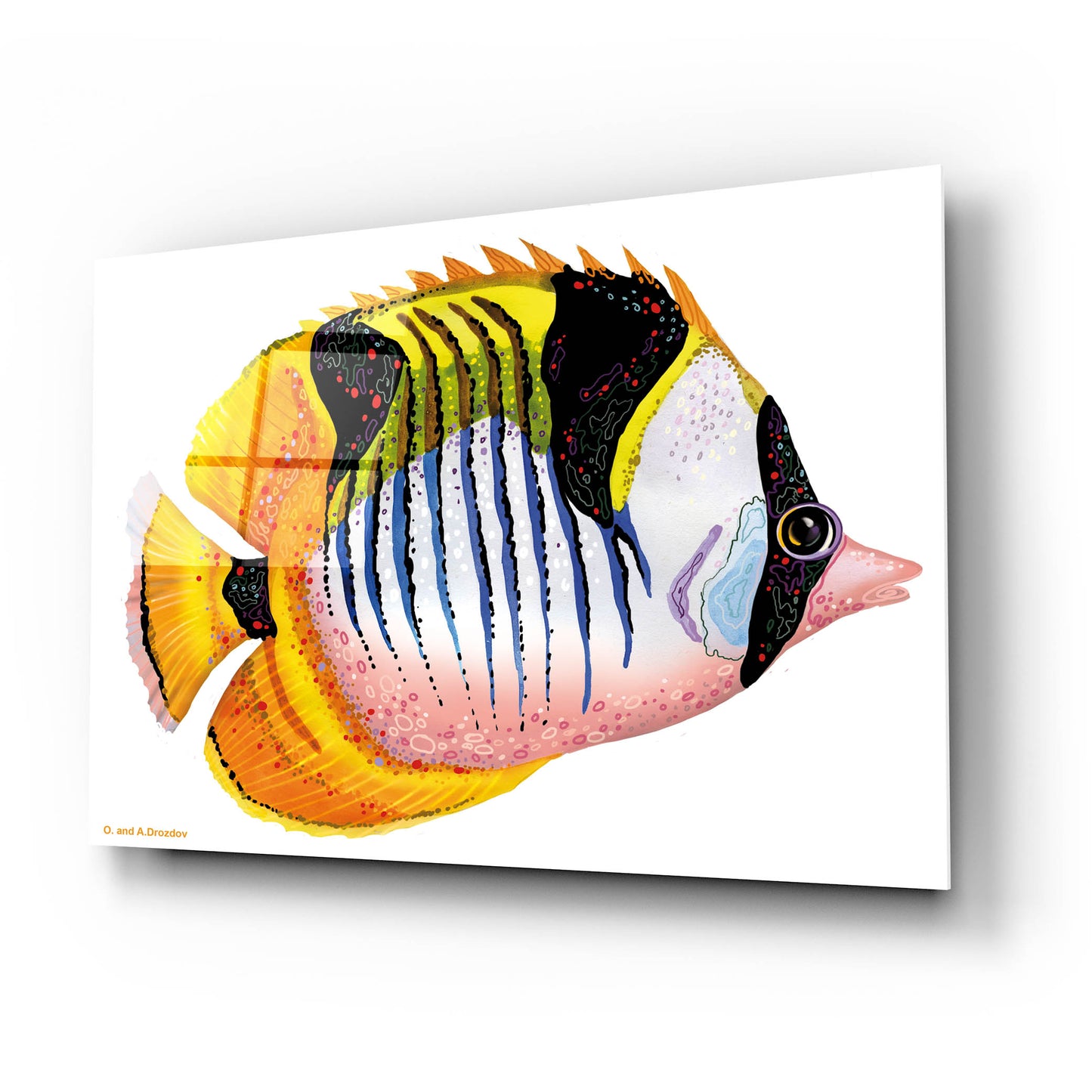 Epic Art 'Fish 1 Red Yellow' by Olga and Alexey Drozdov, Acrylic Glass Wall Art,24x16