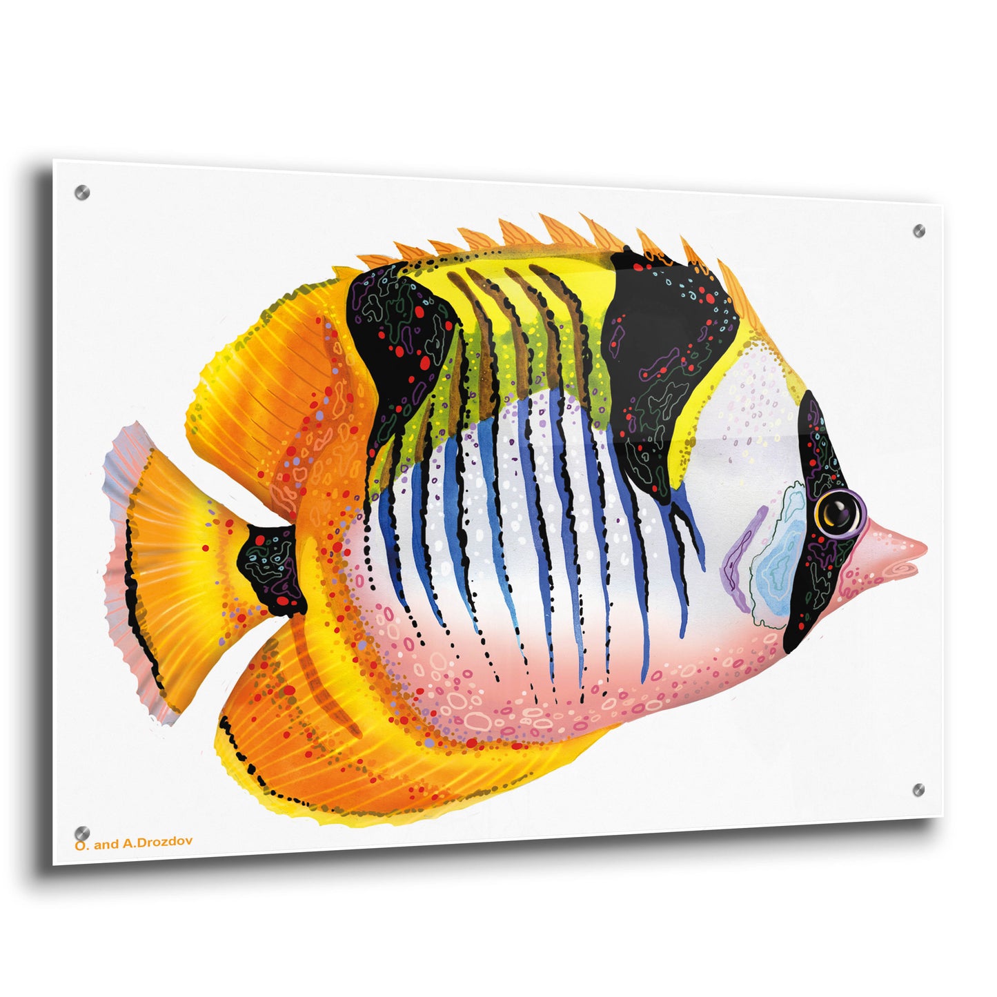 Epic Art 'Fish 1 Red Yellow' by Olga and Alexey Drozdov, Acrylic Glass Wall Art,36x24