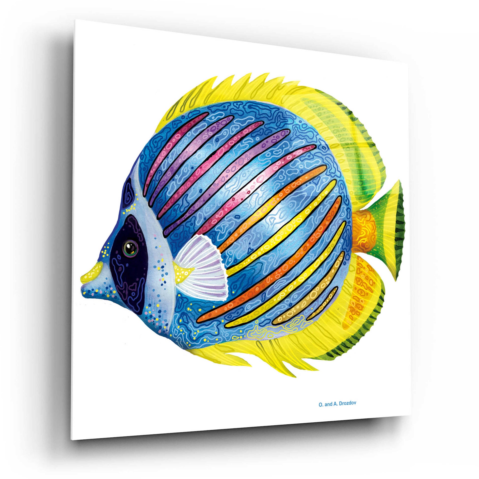 Epic Art 'Fish 1 Blue Yellow' by Olga and Alexey Drozdov, Acrylic Glass Wall Art,12x12