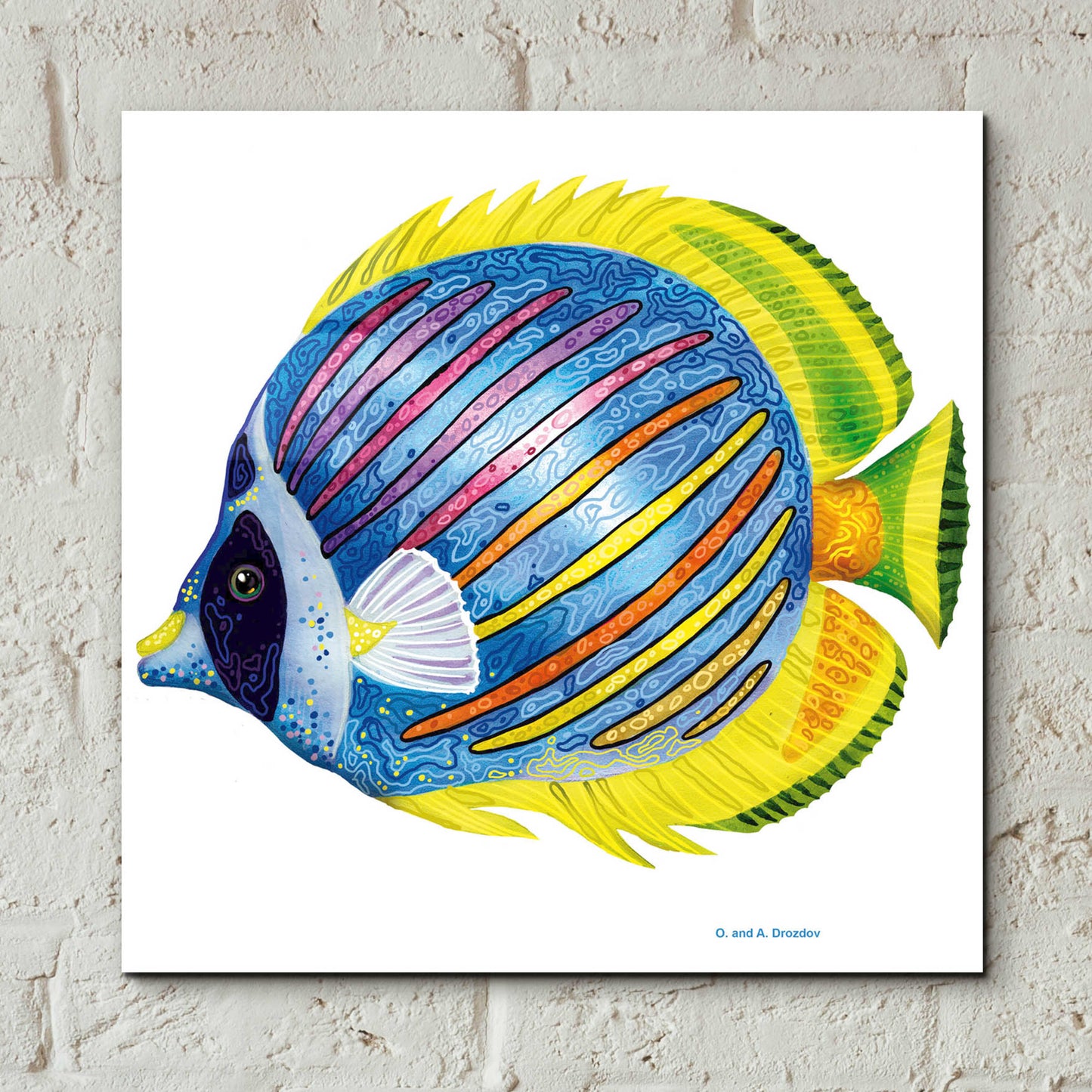 Epic Art 'Fish 1 Blue Yellow' by Olga and Alexey Drozdov, Acrylic Glass Wall Art,12x12