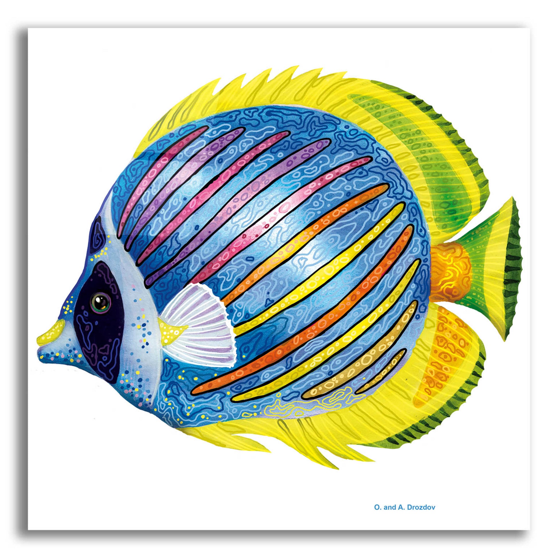 Epic Art 'Fish 1 Blue Yellow' by Olga and Alexey Drozdov, Acrylic Glass Wall Art,12x12