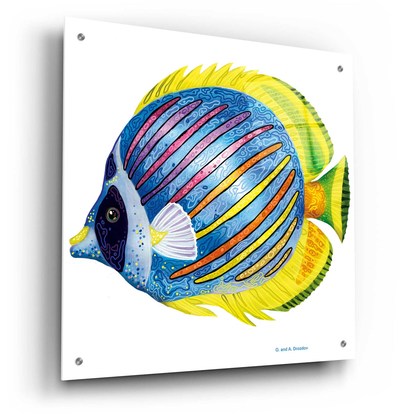 Epic Art 'Fish 1 Blue Yellow' by Olga and Alexey Drozdov, Acrylic Glass Wall Art,24x24