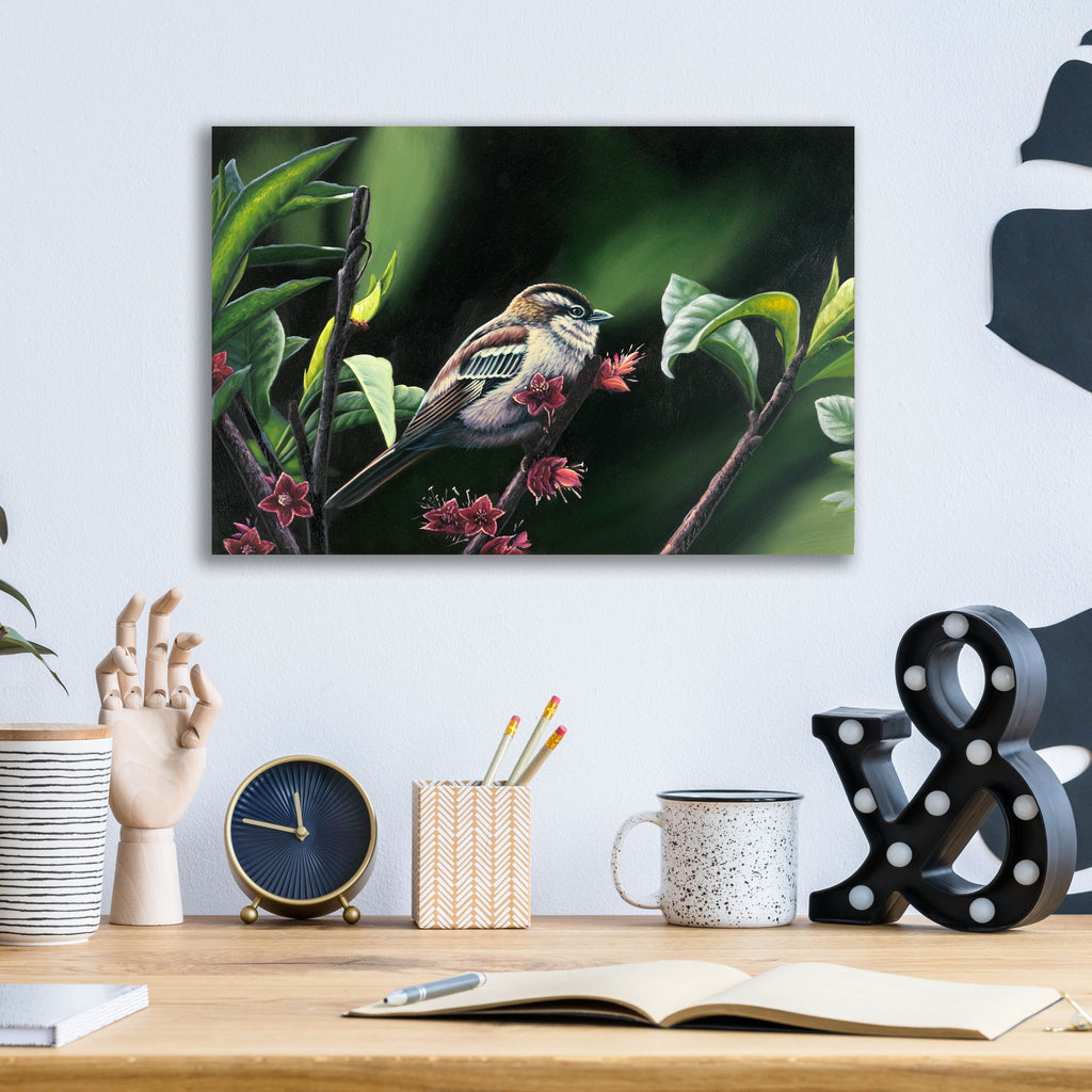 Epic Art 'Quiet Perch' by Patricia Feathers, Acrylic Glass Wall Art,16x12