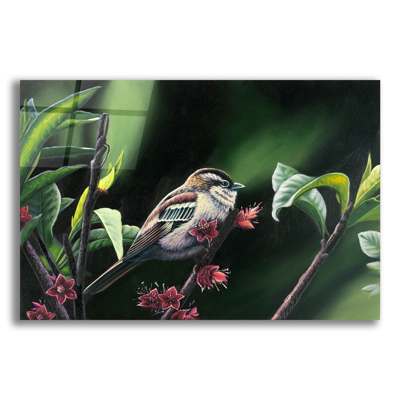 Epic Art 'Quiet Perch' by Patricia Feathers, Acrylic Glass Wall Art,16x12