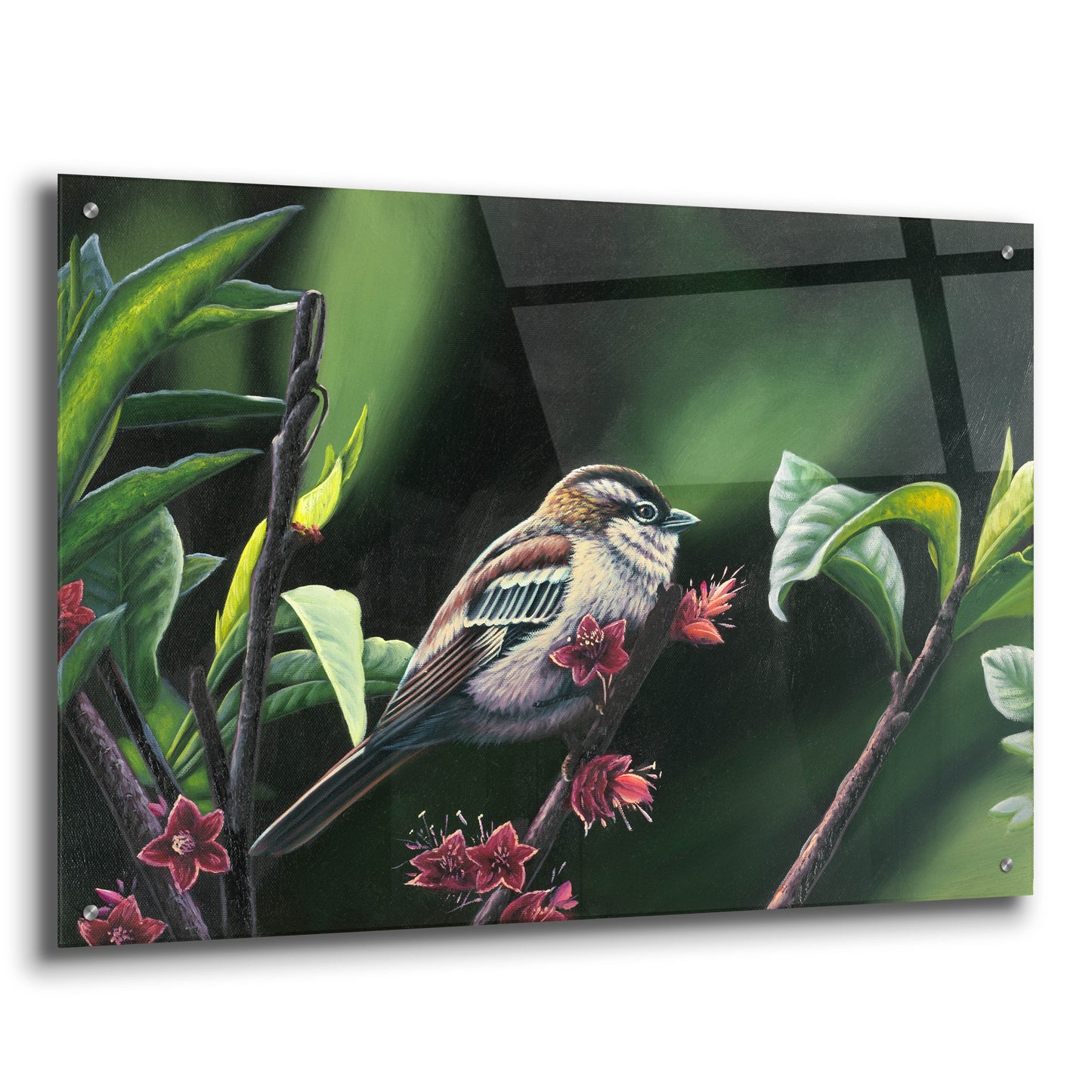 Epic Art 'Quiet Perch' by Patricia Feathers, Acrylic Glass Wall Art,36x24