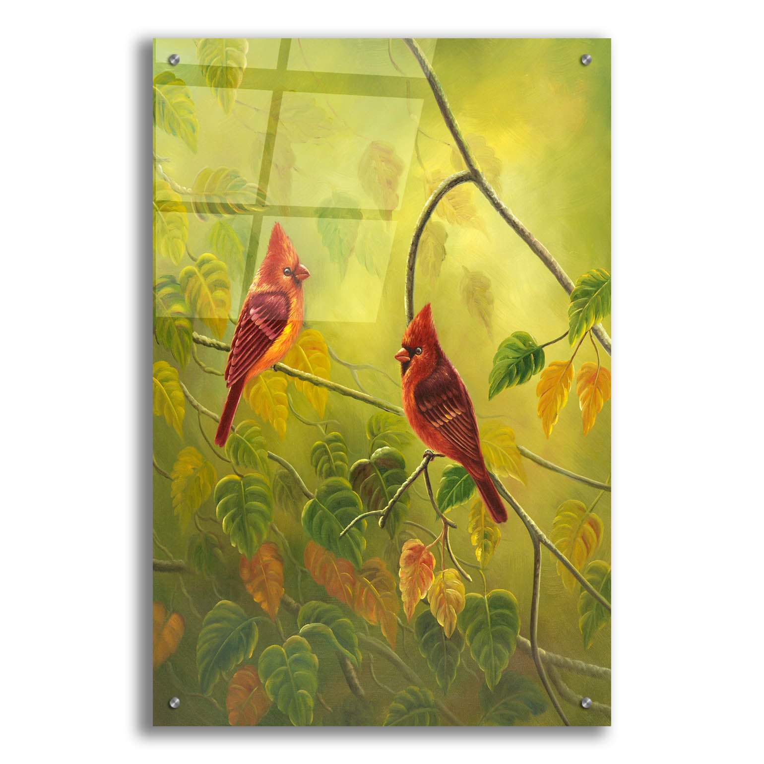 Epic Art 'Autumn Cardinals' by Patricia Feathers, Acrylic Glass Wall Art,24x36