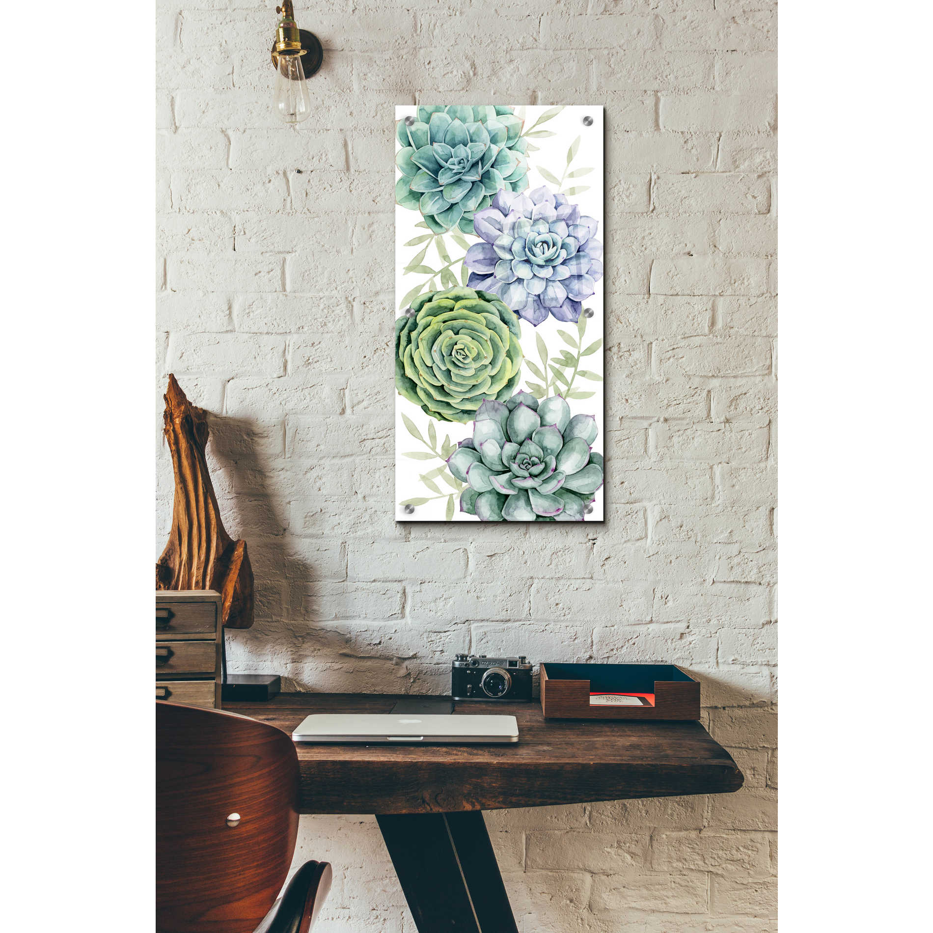 Epic Art 'Succulent Collection B' by Grace Popp, Acrylic Glass Wall Art,12x24